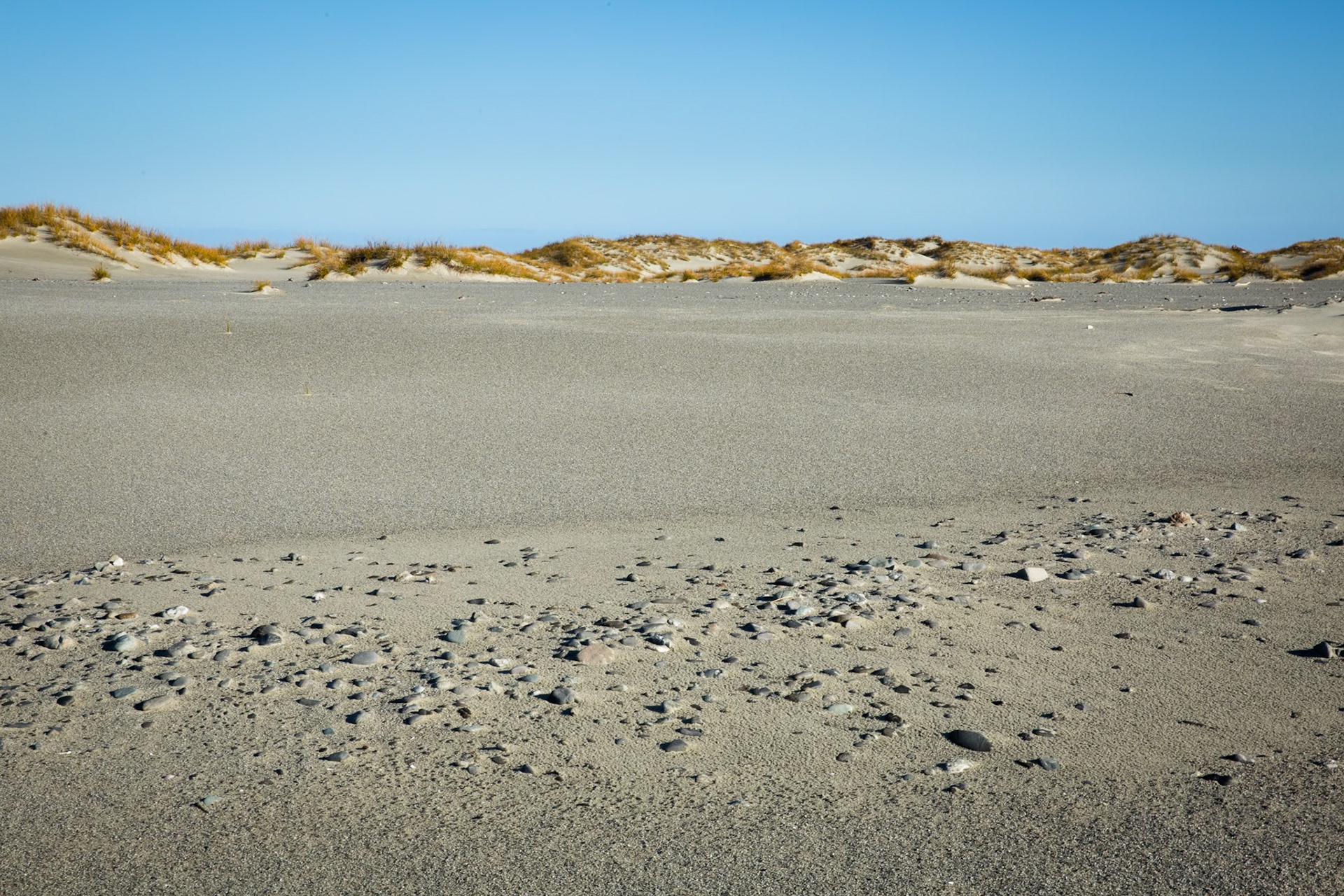 Hollyford Track, Martin's Bay, New Zealand