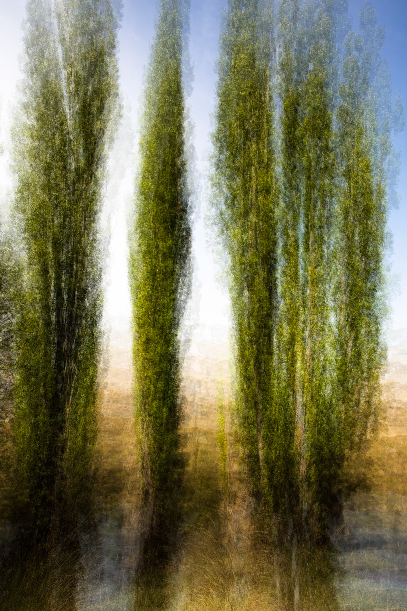 Sawpit creek track, Mount Kosciuszko National Park, Snowy Mountains, New South Wales