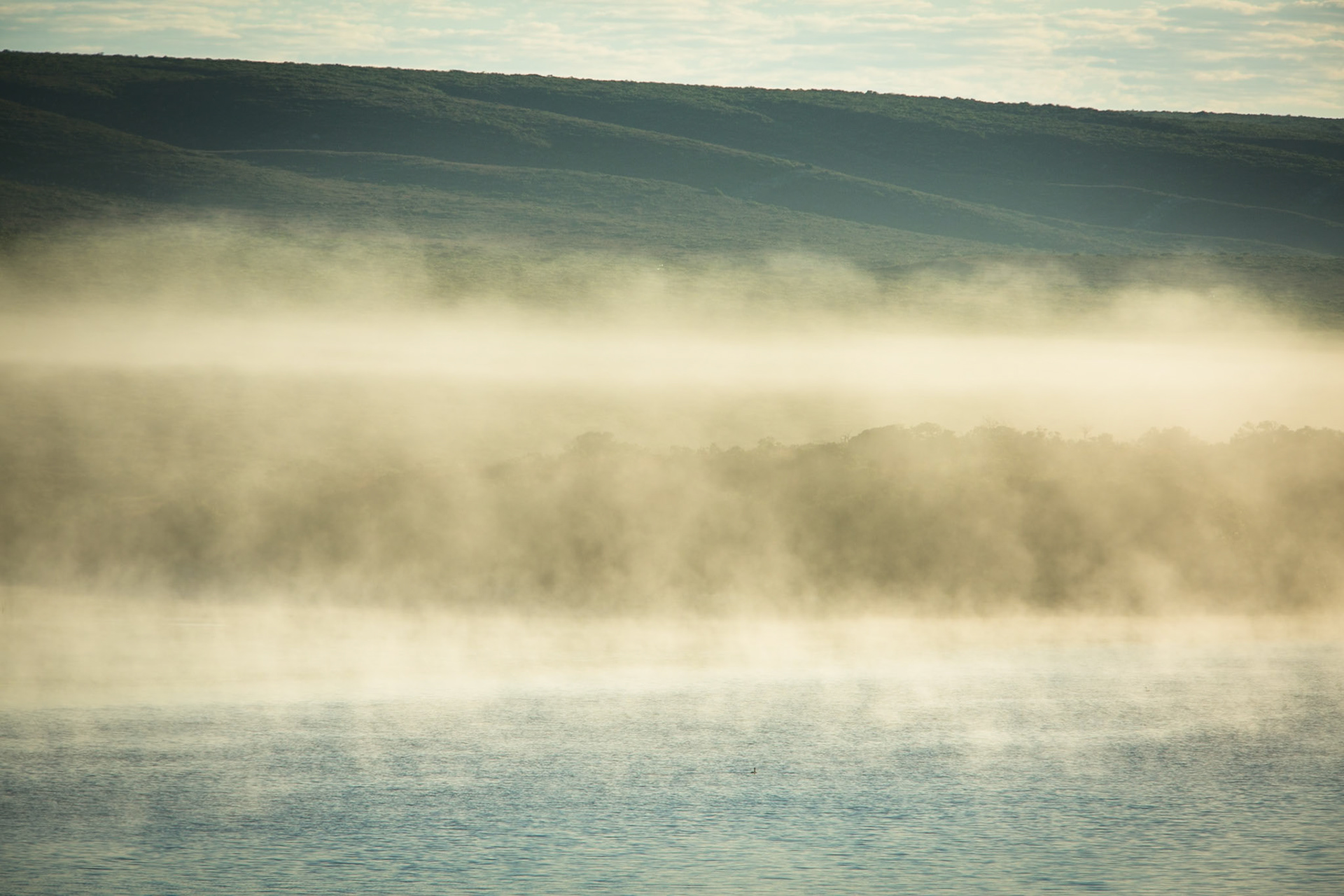 Early morning mist, De Hoop