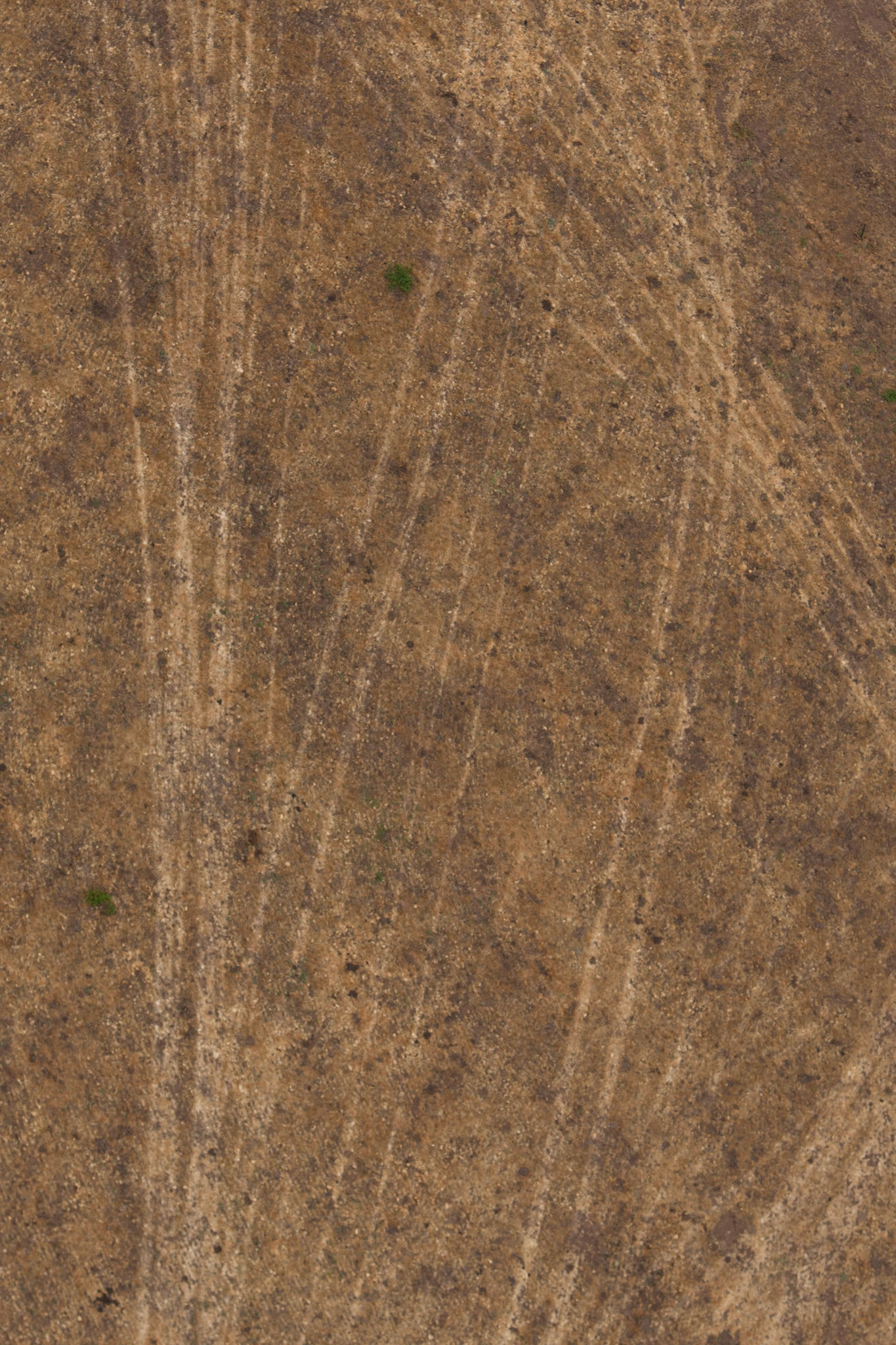 Hot air balloon ride in the Hunter Valley, New South Wales.