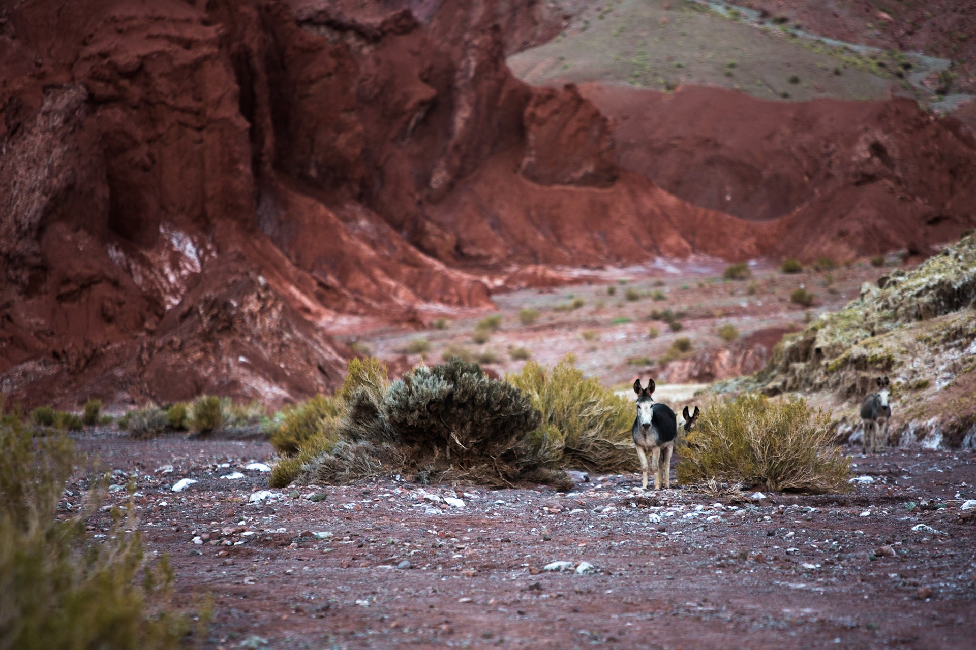 Rainbow Valley, Atacama, Chile
