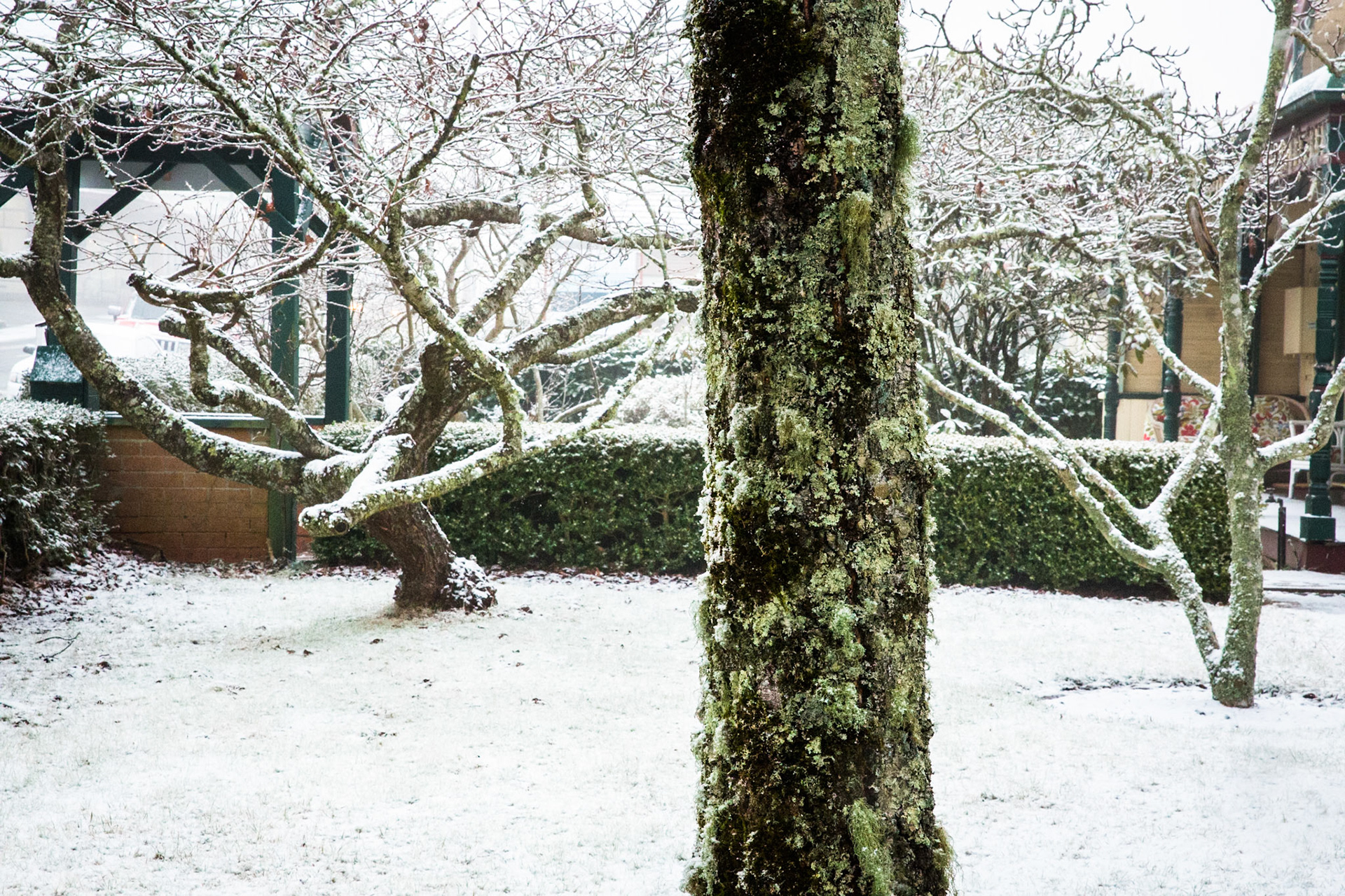 Glenella, Blackheath, Blue Mountains