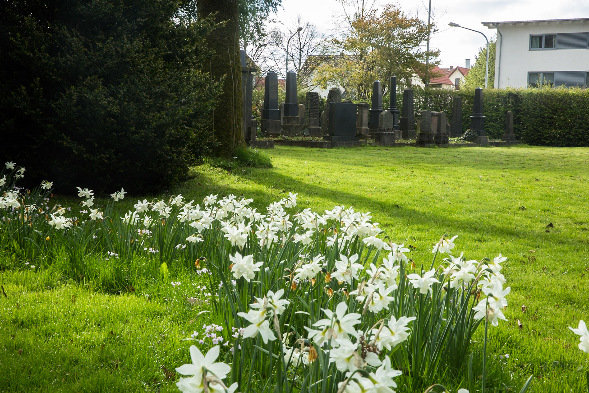 The old Jewish  Cemetery cemetary in Lemgo, Ostertorwall, corner of Shepherd Street, formerly Knochenhauer Wall. Used 1721-early 20th century. During Kristallnacht in 1938, the gravestones in the cemetery were cleared. In spring 1948, the cemetery was restored. My great-grandfather Jacob Hochfeld, his brother Isaac and their respective wives Henriette and Sophie, my grandfather Sigmund and other Hochfelds are buried here. My grandmother Paula is commemorated on Jacob's tombstone.