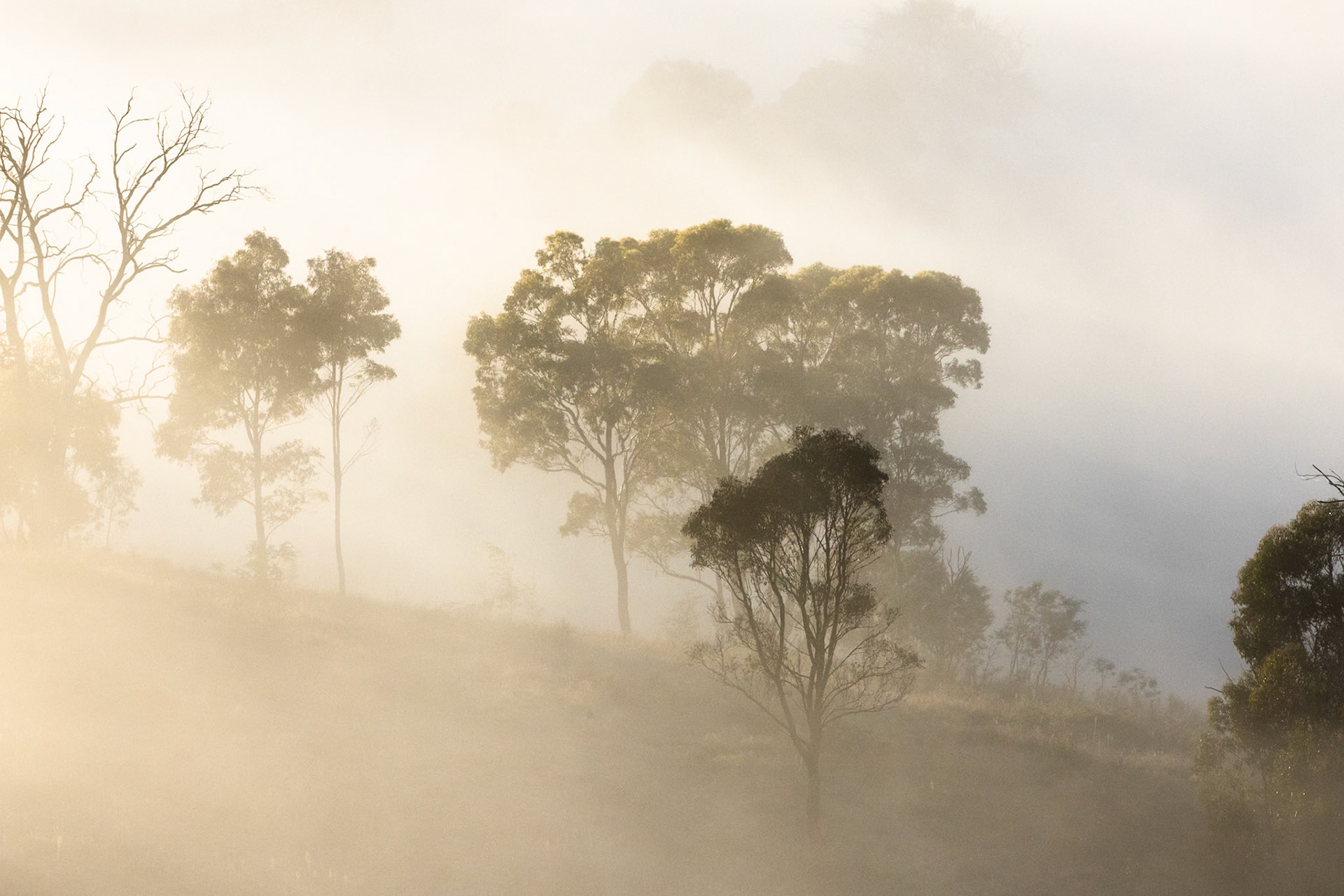 Turon Gates, New South Wales