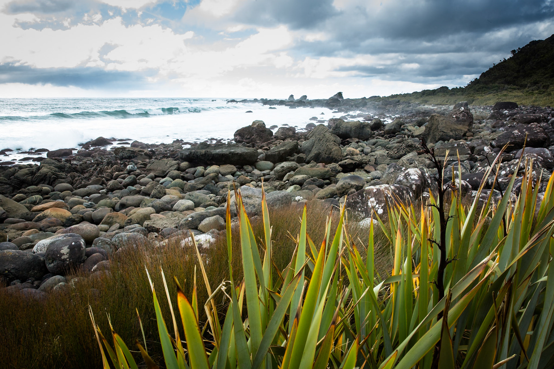 Longreef, Hollyford Track, Pyke Lodge to Martin's Bay, New Zealand