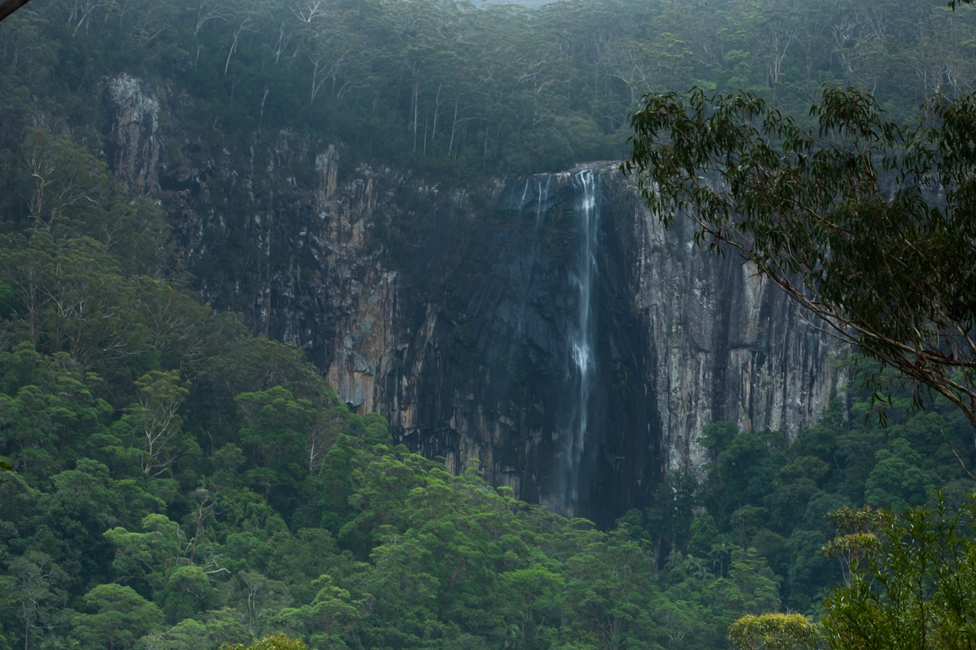 Minyon falls, Lismore