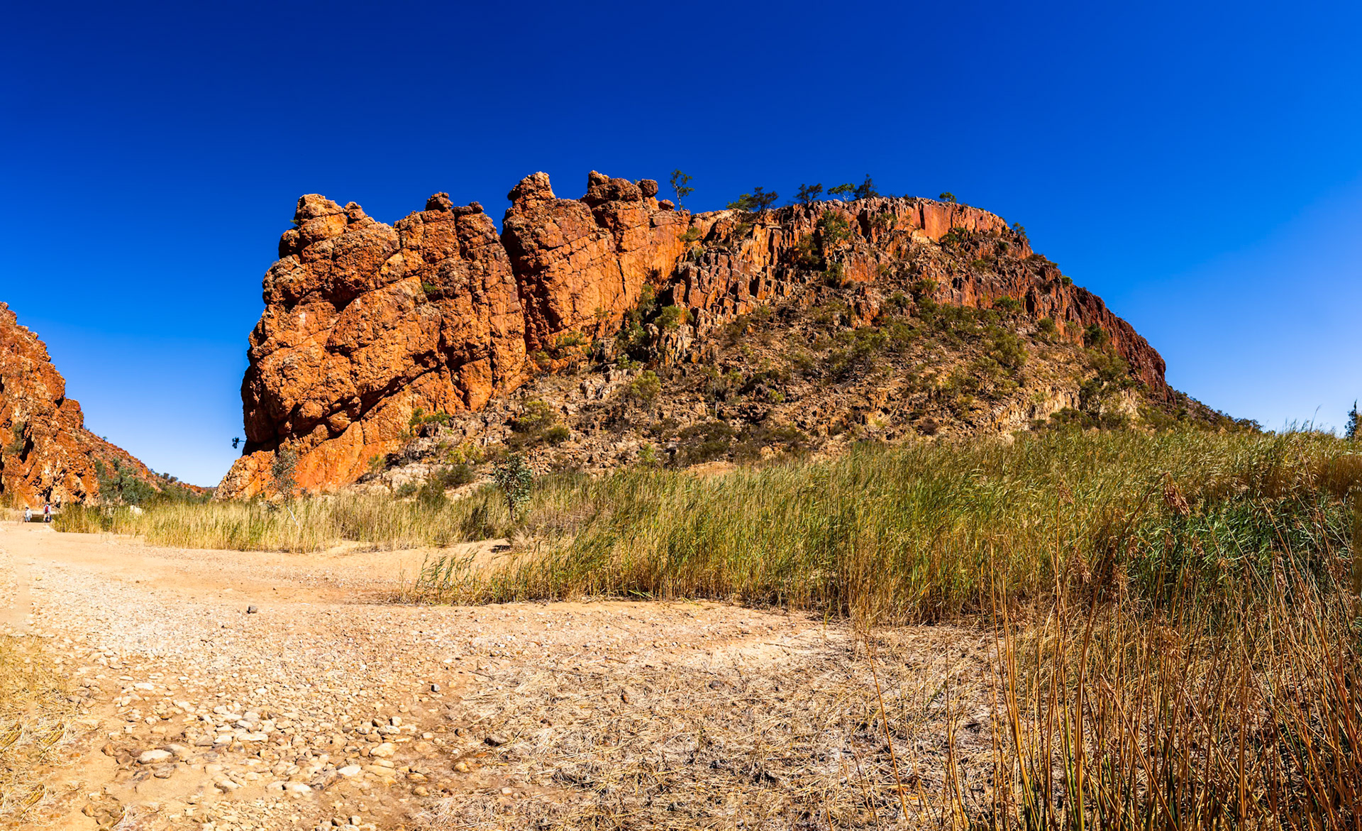 Finke river, Larapinta Trail, Northern Territory, Australia