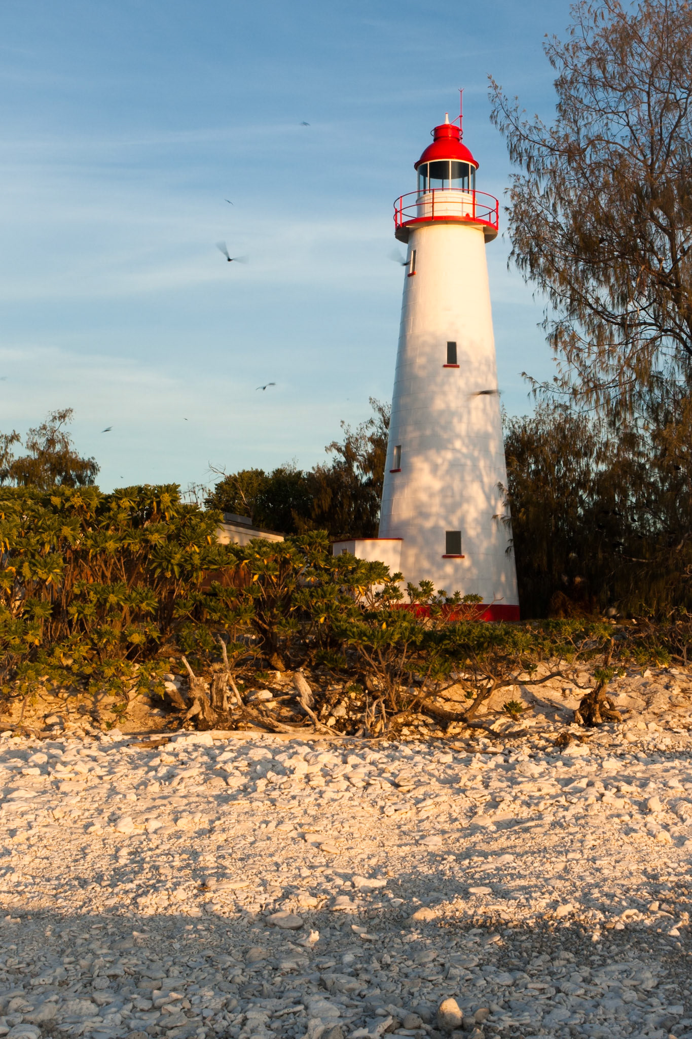 Lighthouse, Lady Elliot Island, Queensland, Australia