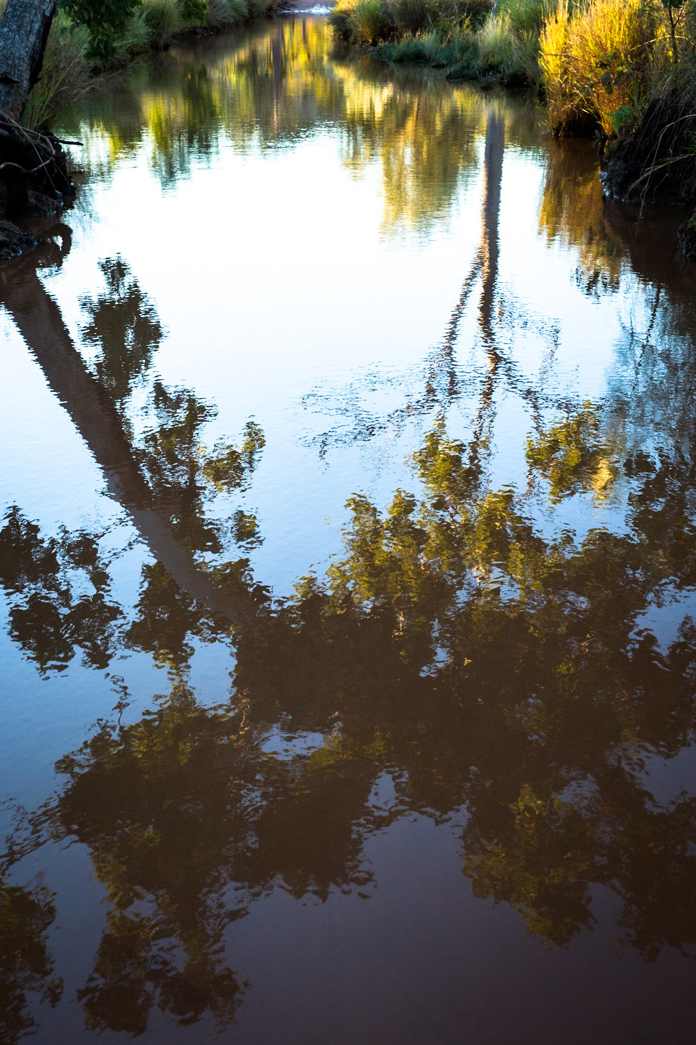 Near Moonshine gorge, El Questro Wilderness Park, The Kimberly, Western Australia