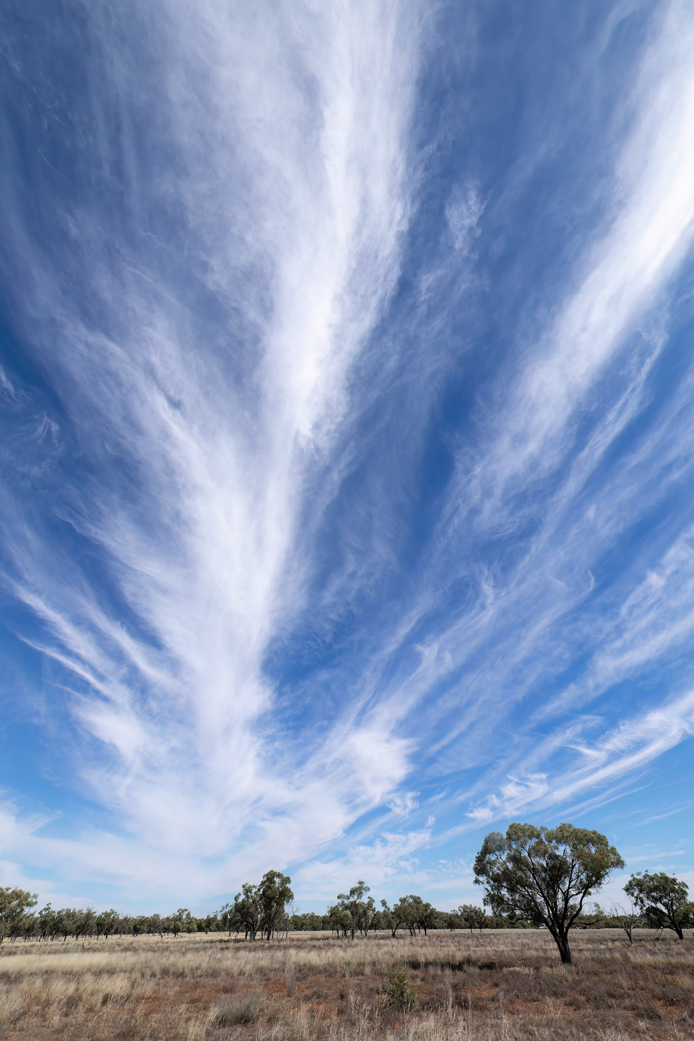 Landscape, Thargomindah to Eulo, Queensland, Australia
