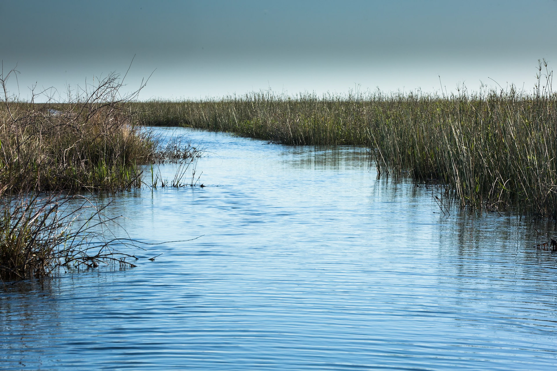 Puerto Valle Esteros, Ibera wetlands, Corrientes, Argentina