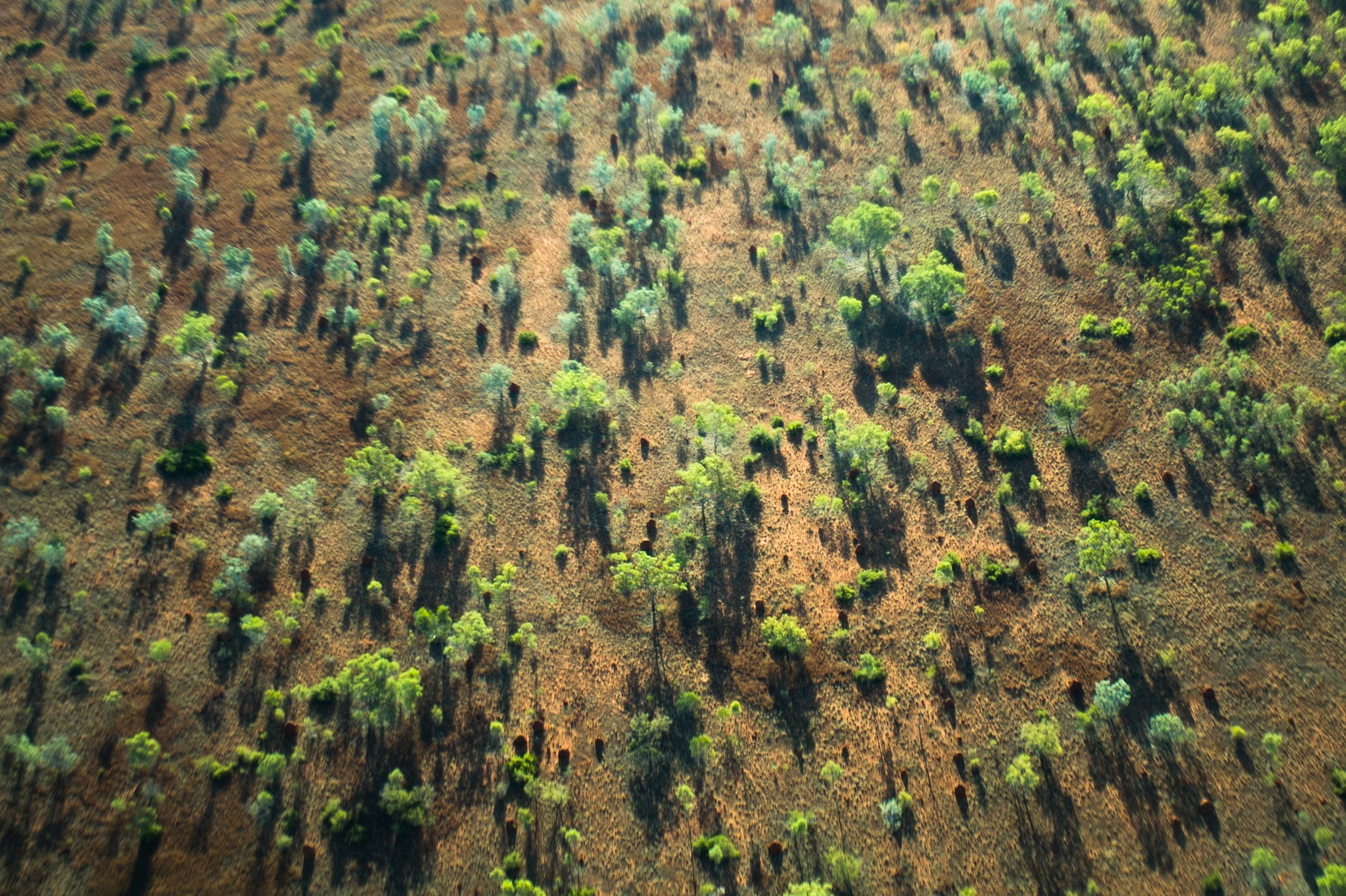 Aerial view, the Bungle Bungles, West Australia