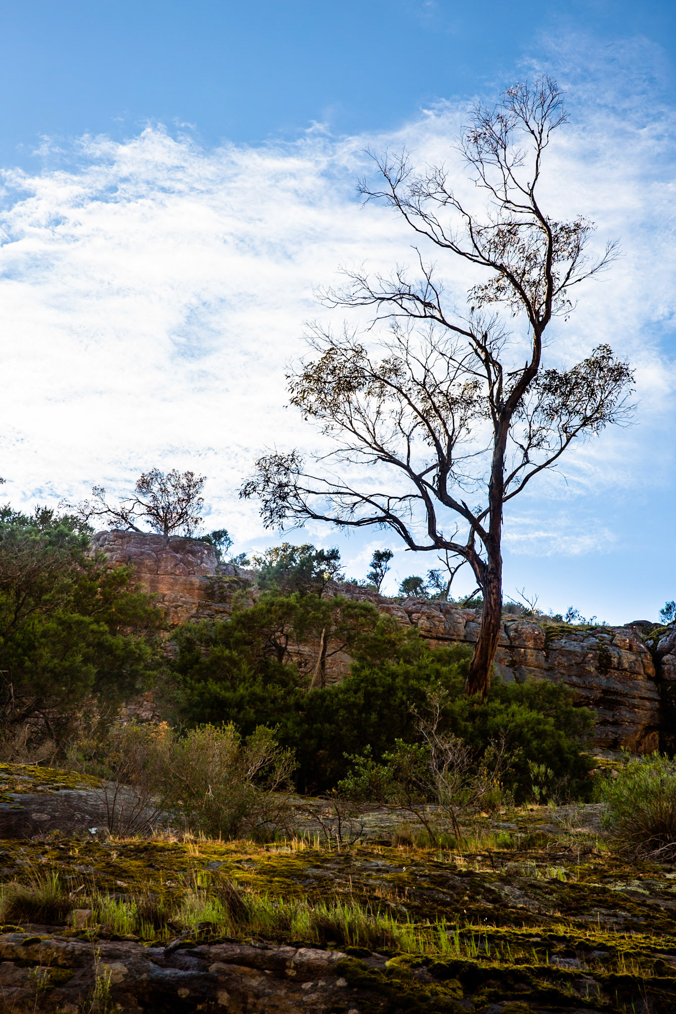 The Pinnacle circuit, Hall's Gap, The Grampians, Victoria