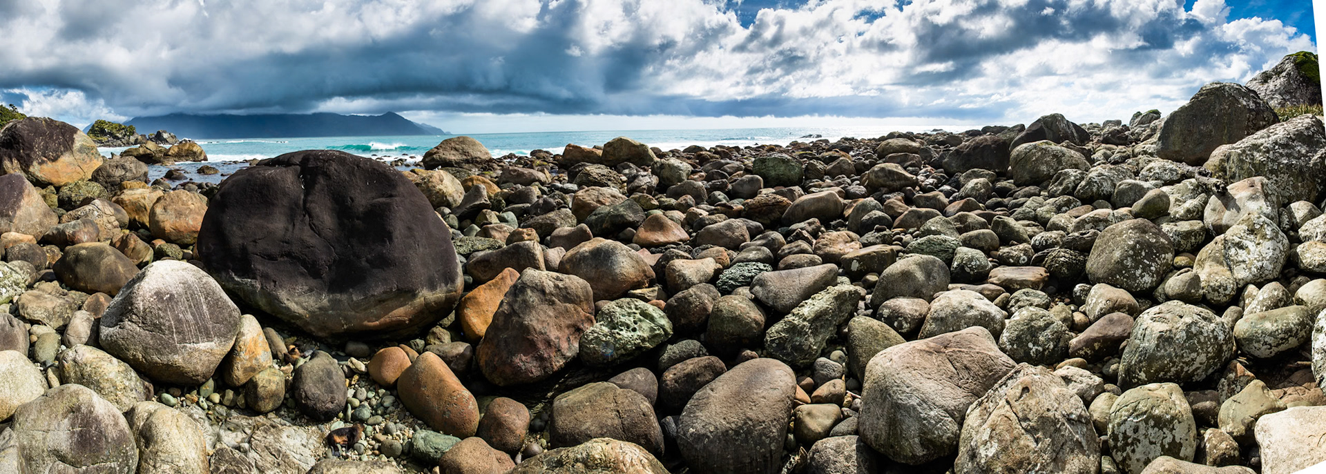 Longreef, Hollyford Track,  Martin's Bay, New Zealand