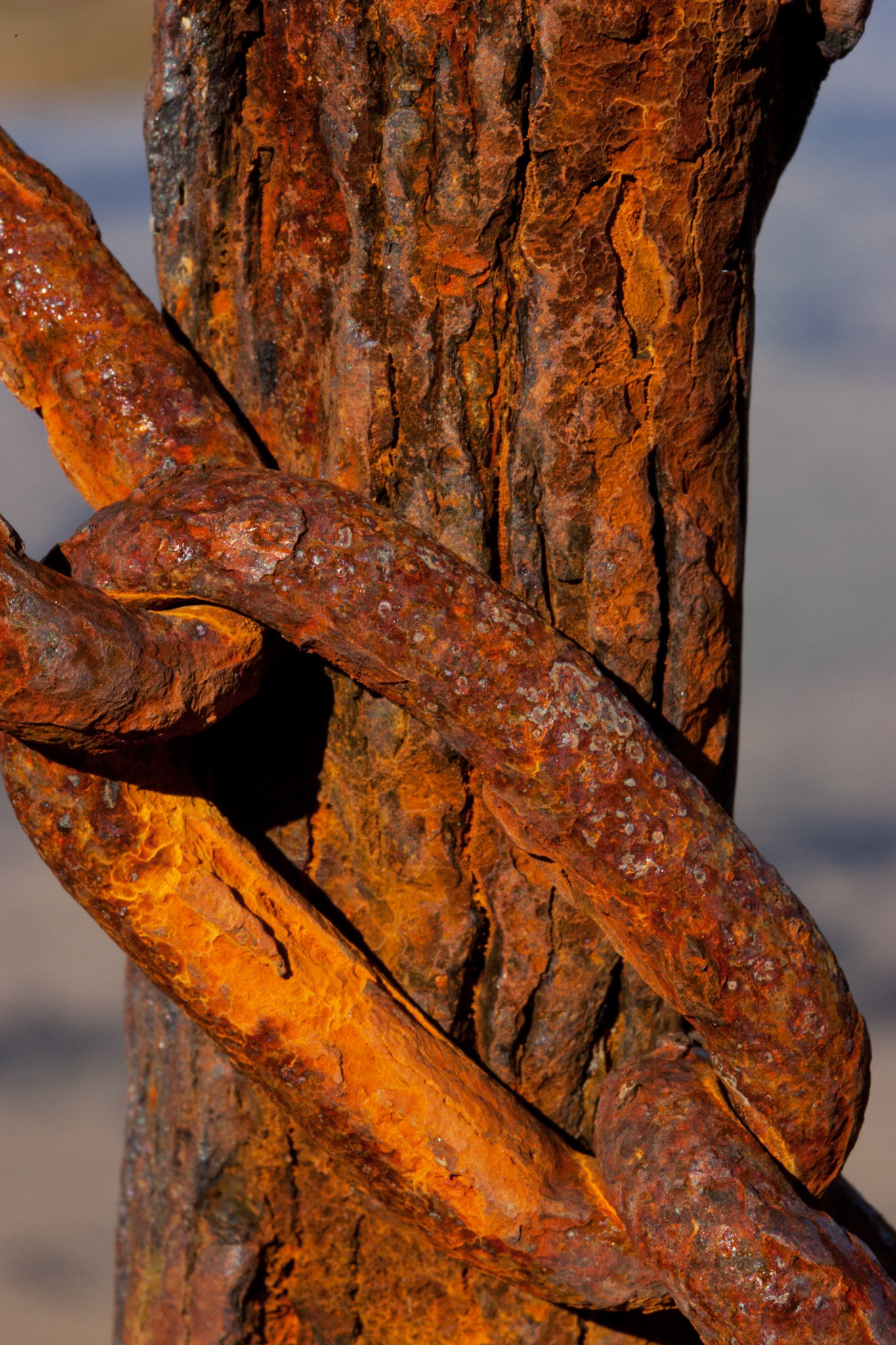Rusty metal chain at the bogey hole, Newcastle