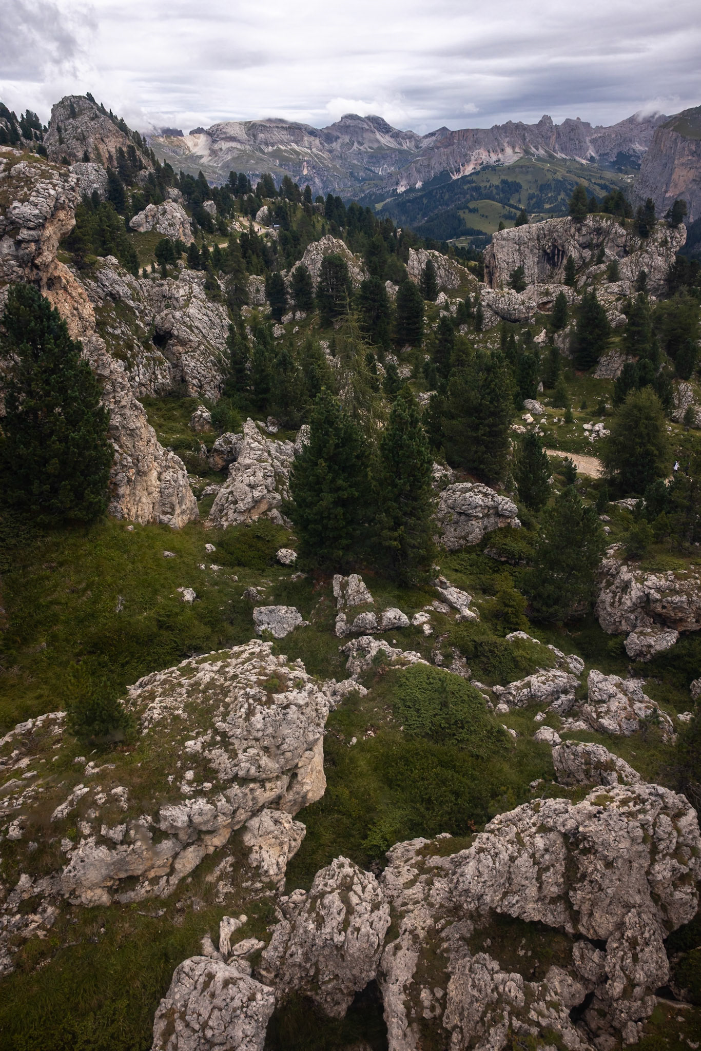 Passo Sella, Sassolungo, Selva di Val Gardena, Dolomites, South Tyrol, Italy