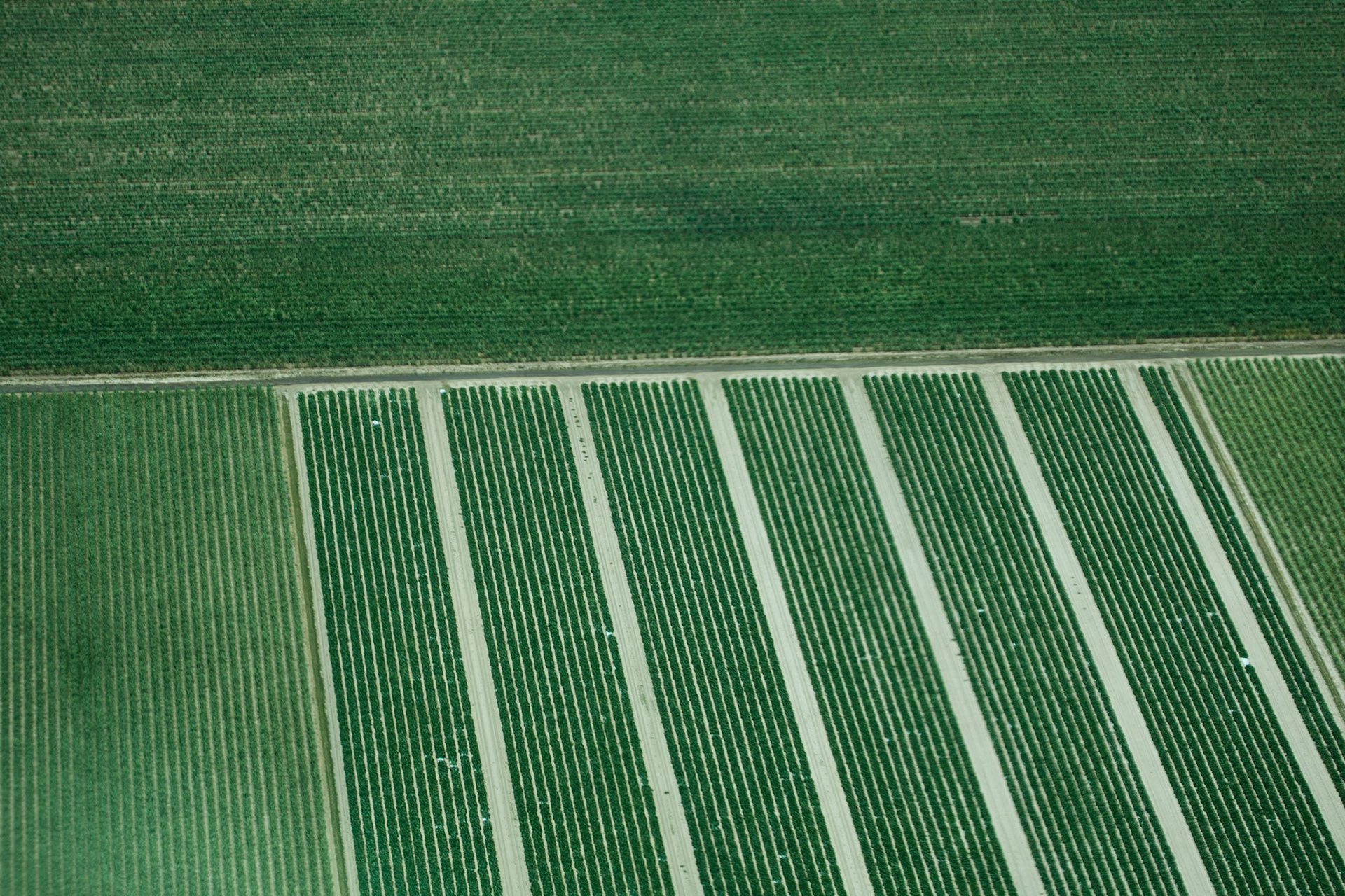 Patterns of Bundaberg from the air, Queensland, Australia