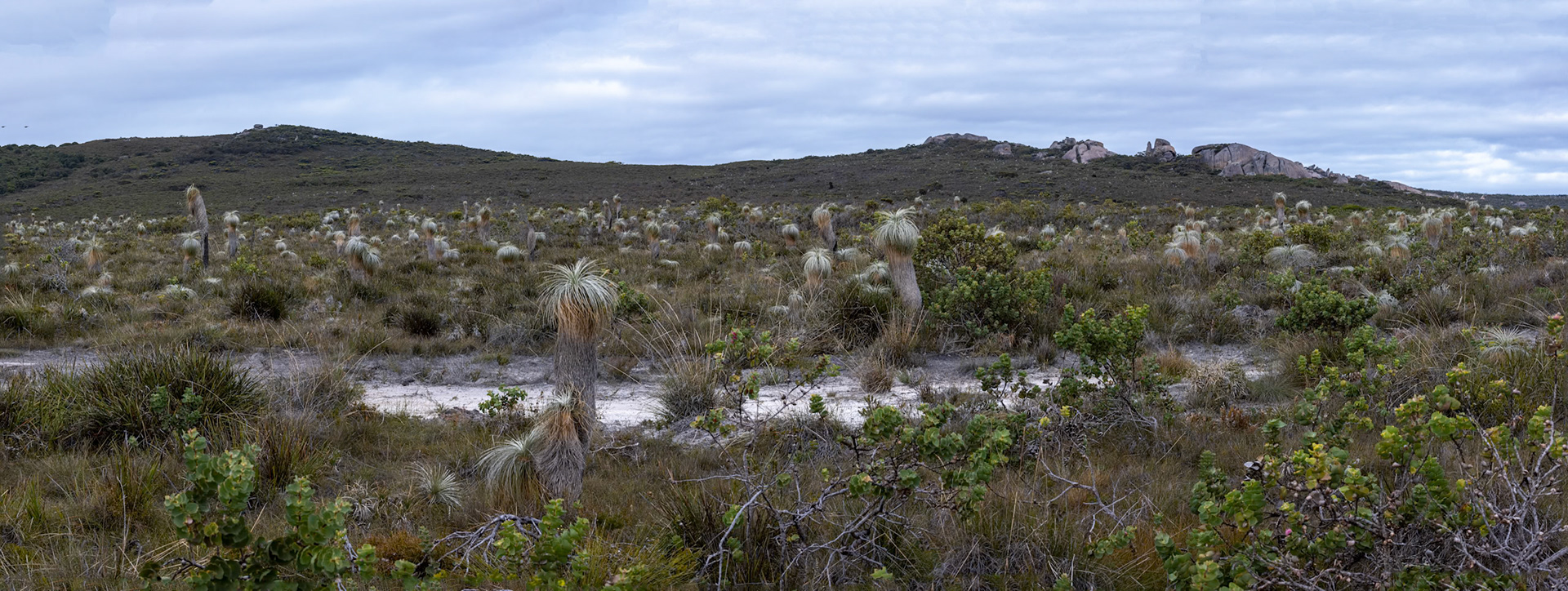 Cheynes Beach, West Australia