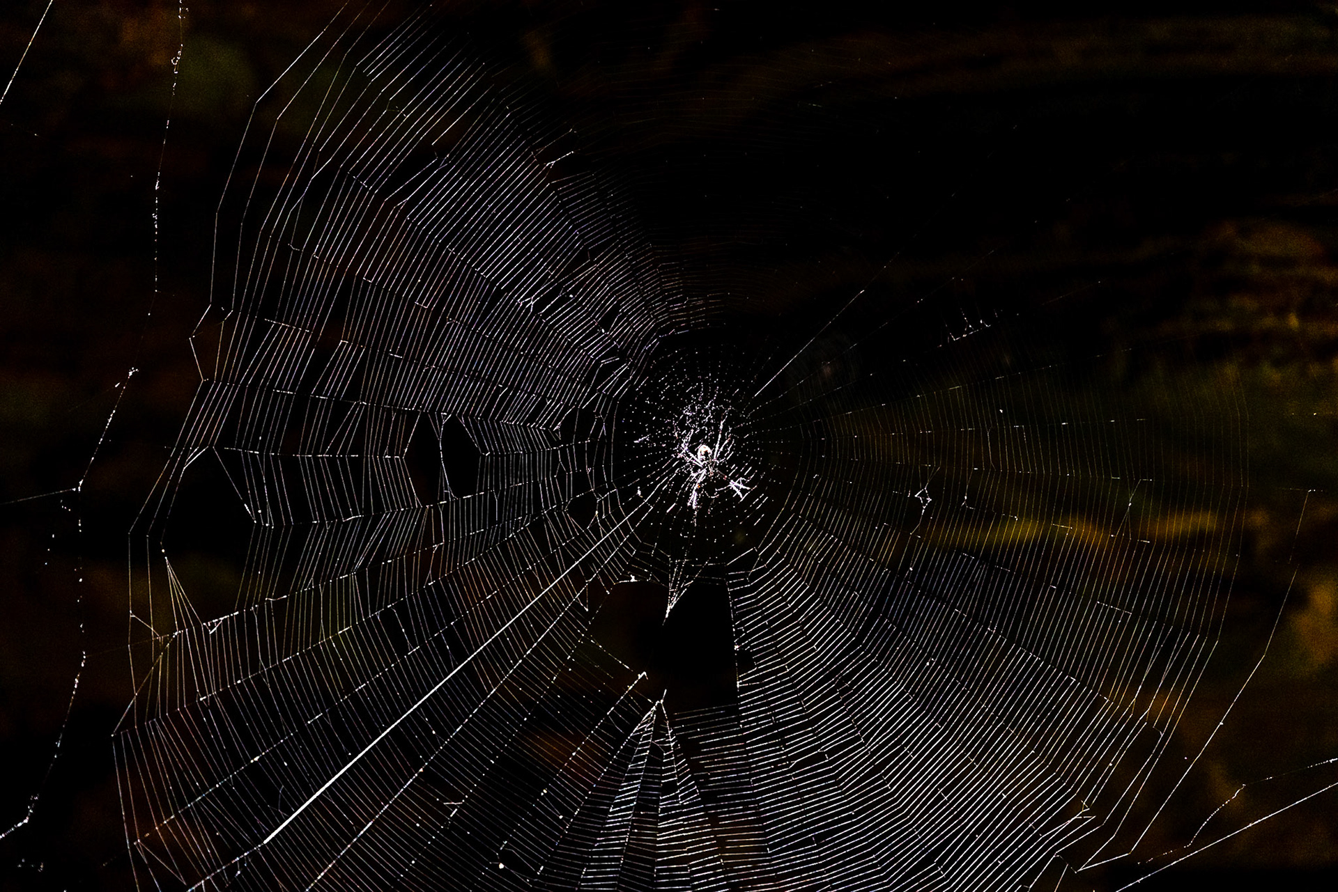 Handrail Pool, Weano Gorge, Karijini National Park, Western Australia