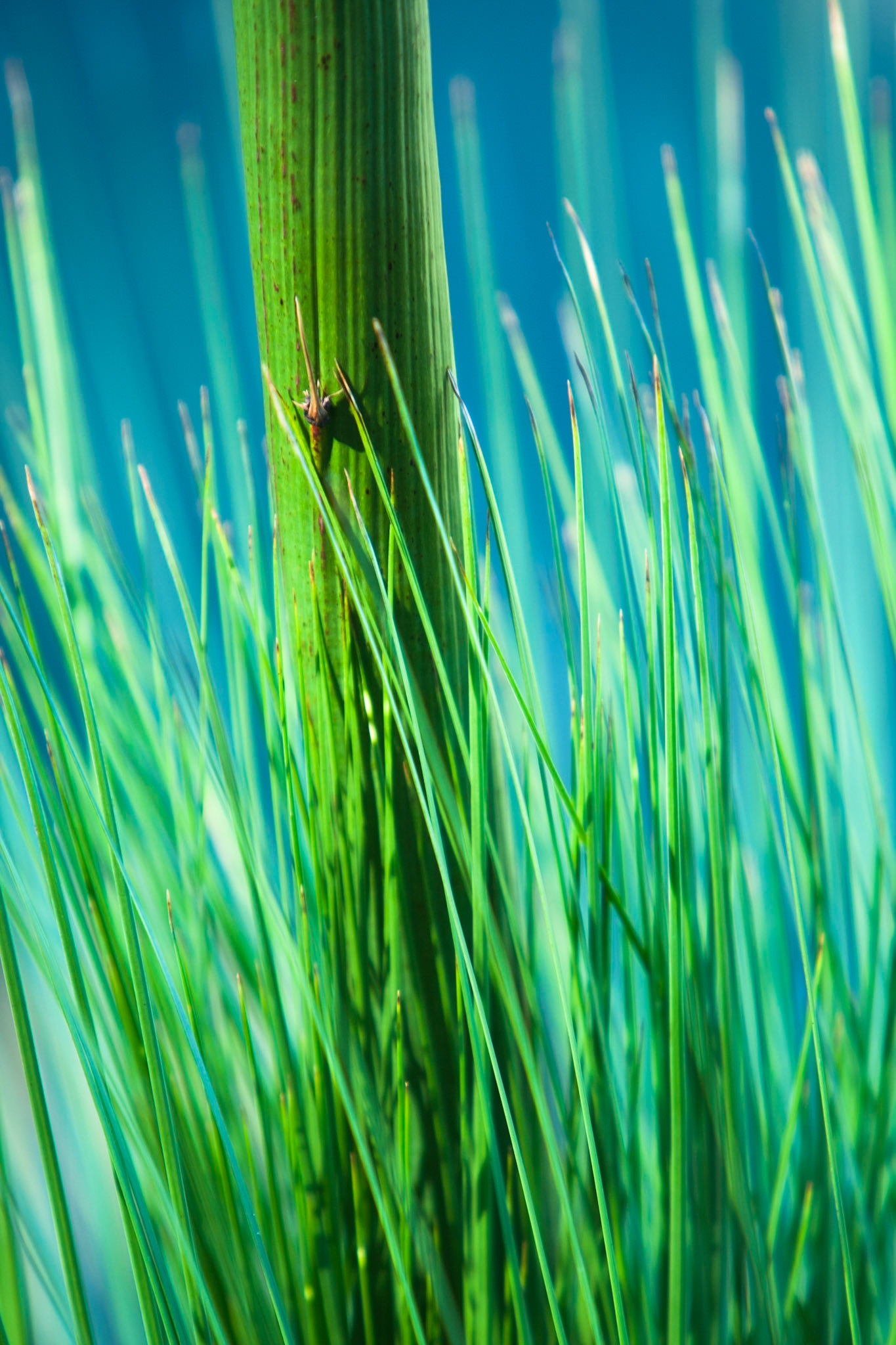 Lamington National Park, Queensland