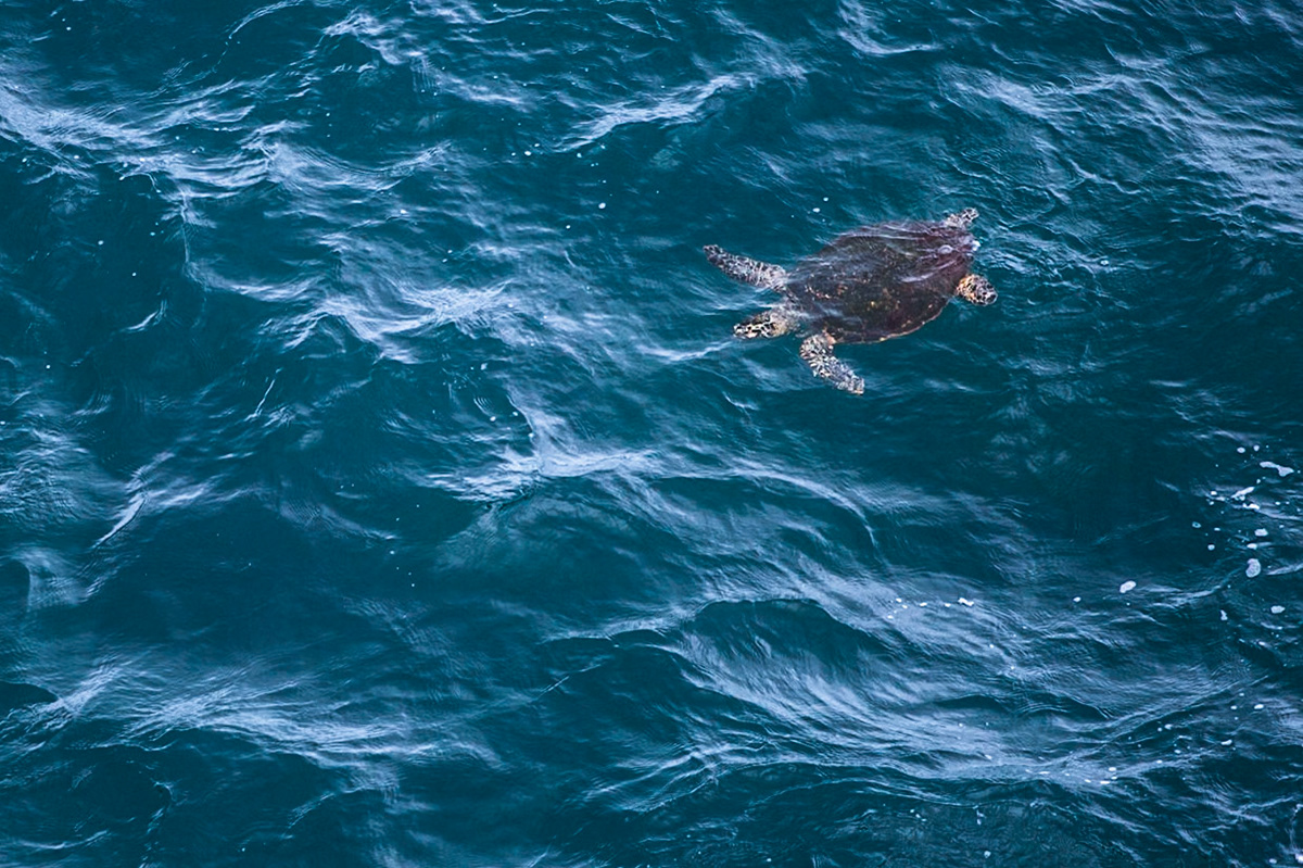 Stradbroke Island, Queensland