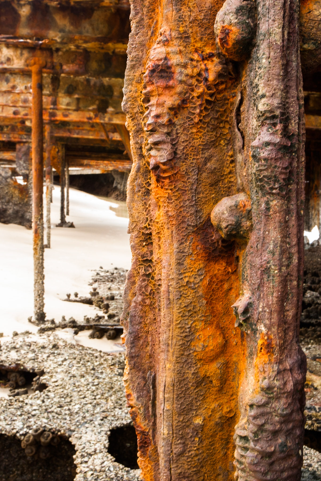 Maheno wreck, Fraser Island, Queensland