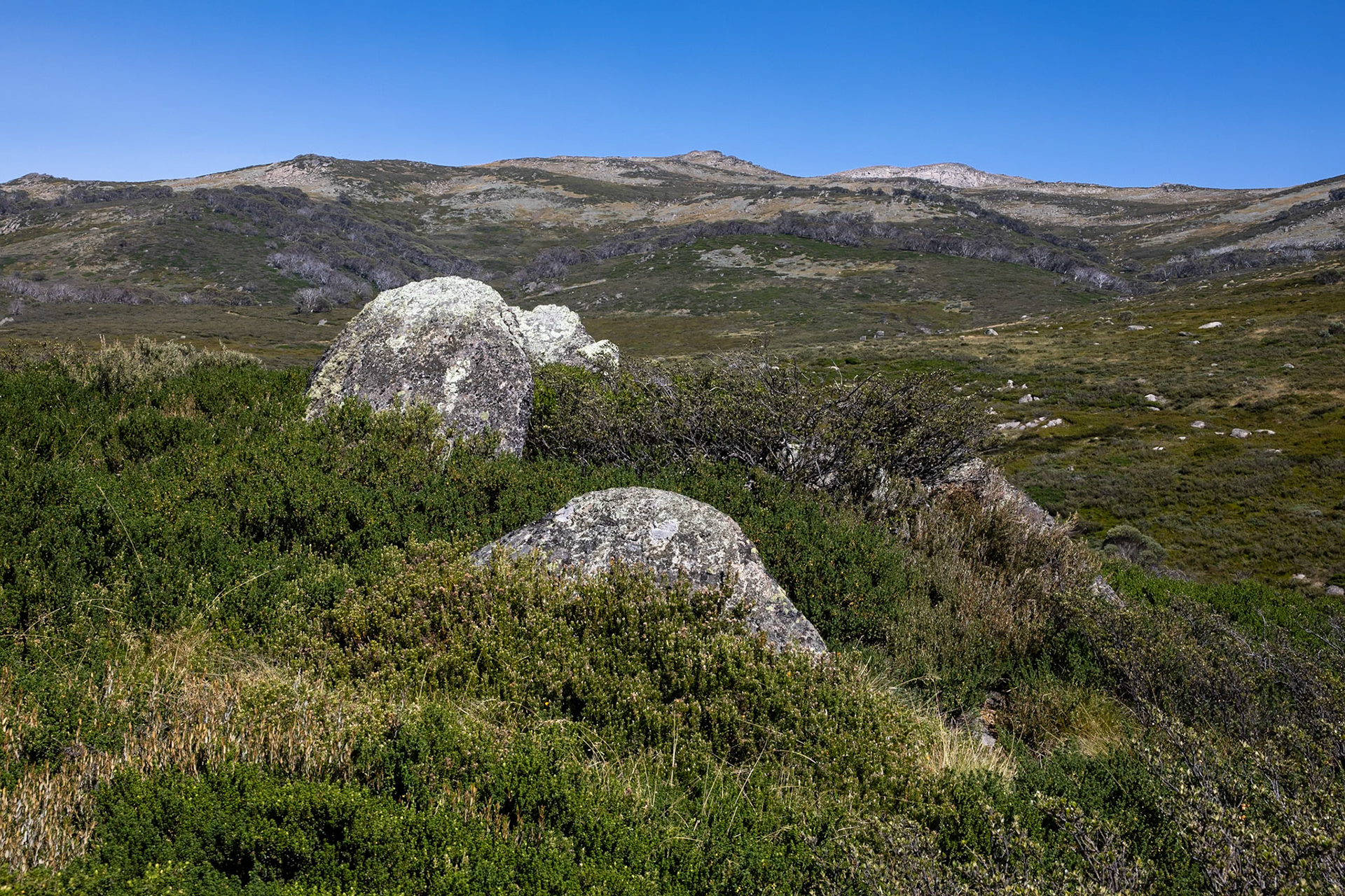 Guthega to Charlotte's Pass, Snowies Alpine Trail, Snowy Mountains, New South Wales, Australia