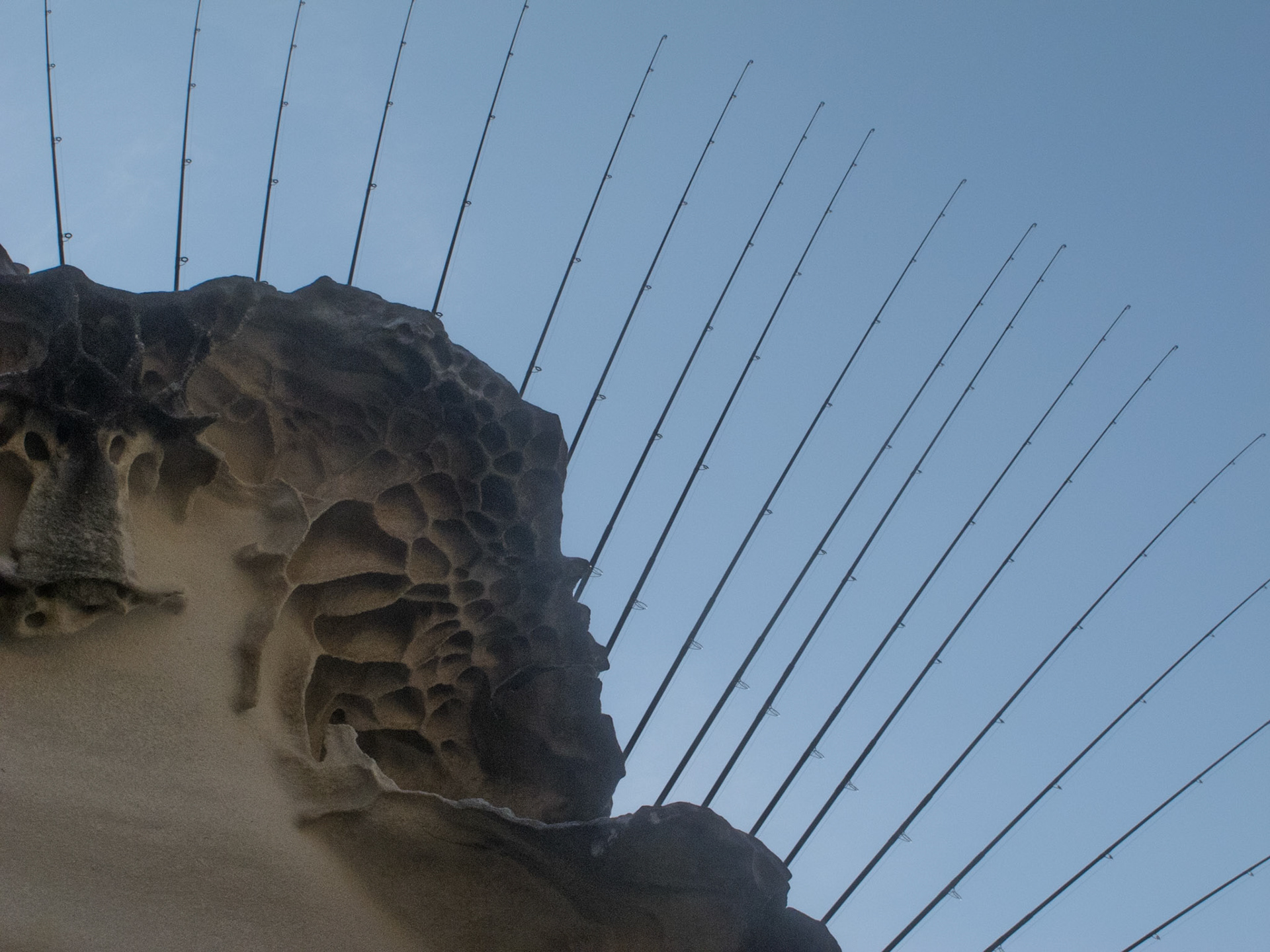 Sculpture by the Sea. An annual exhibition of sculptures presented along the Bondi to Tamarama coastal walk.