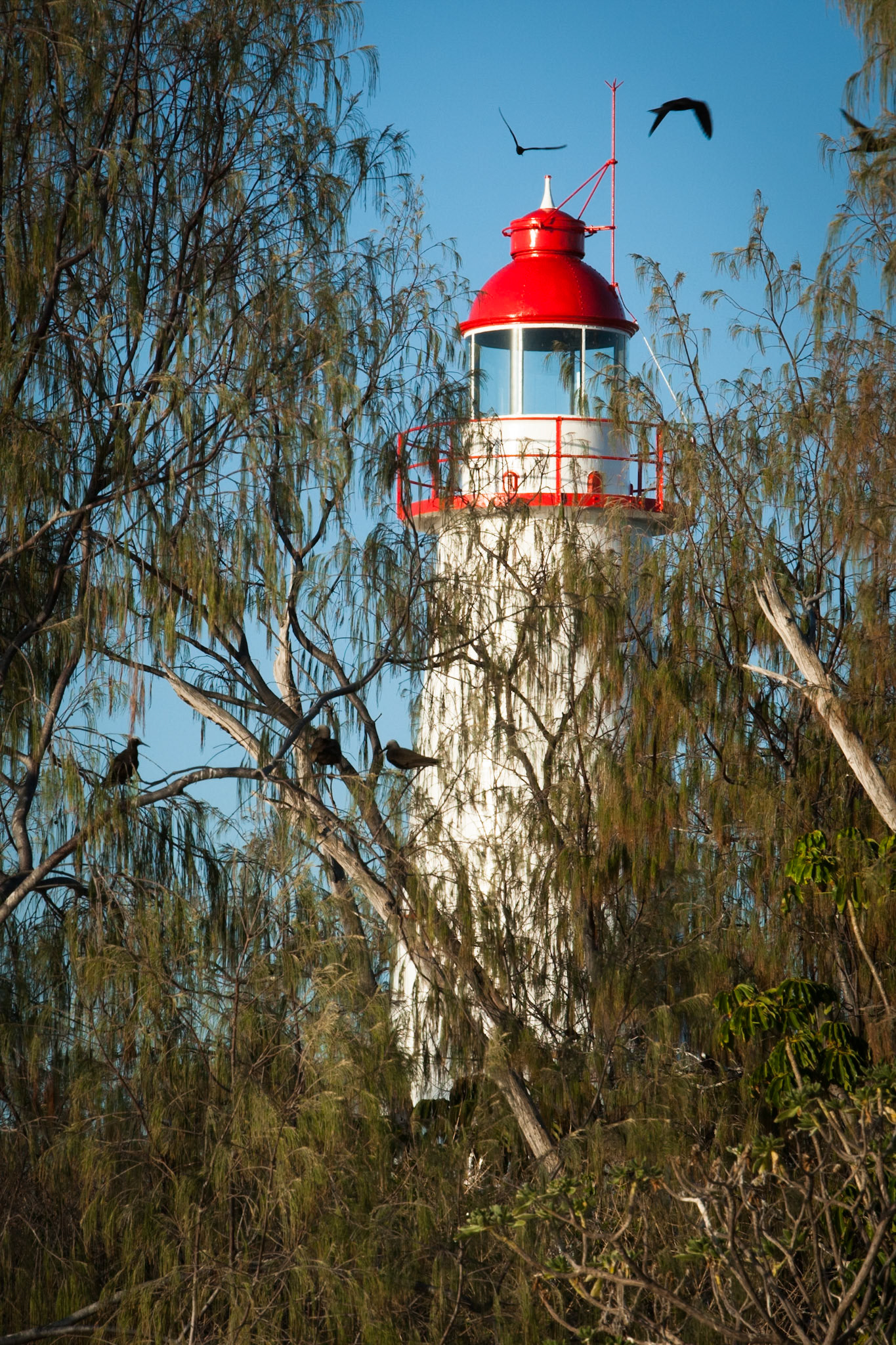 Lighthouse, Lady Elliot Island, Queensland, Australia