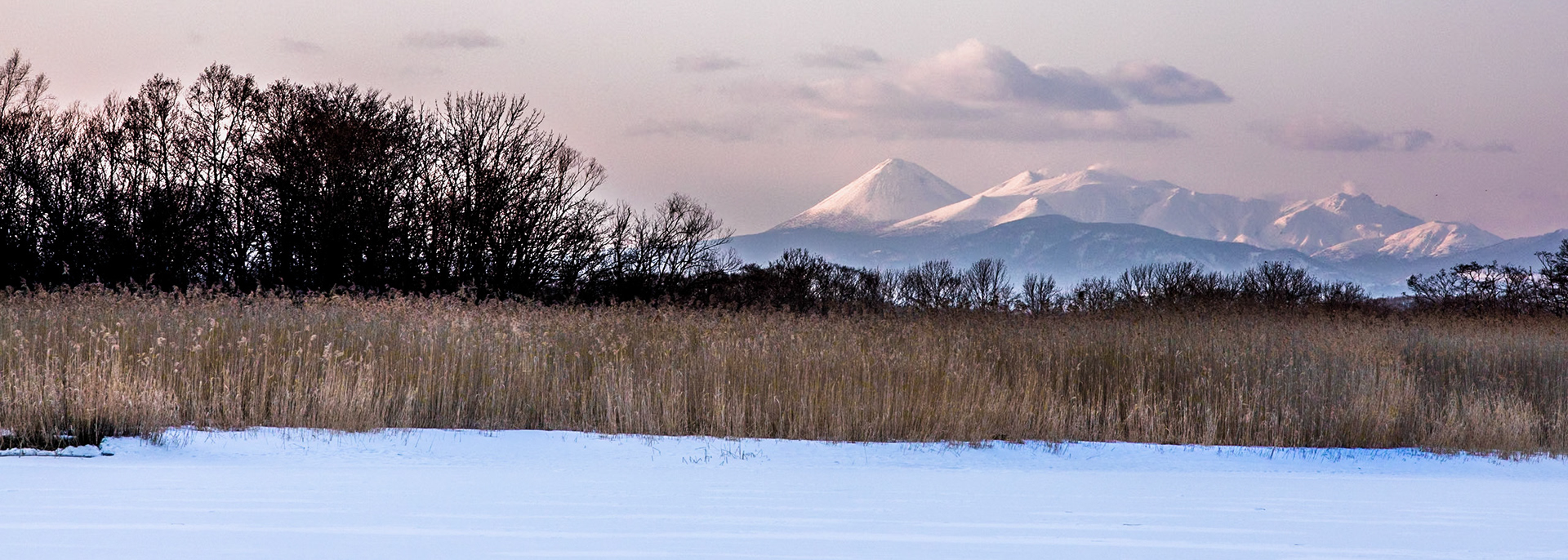 Kushiro marshland, Hokkaido, Japan