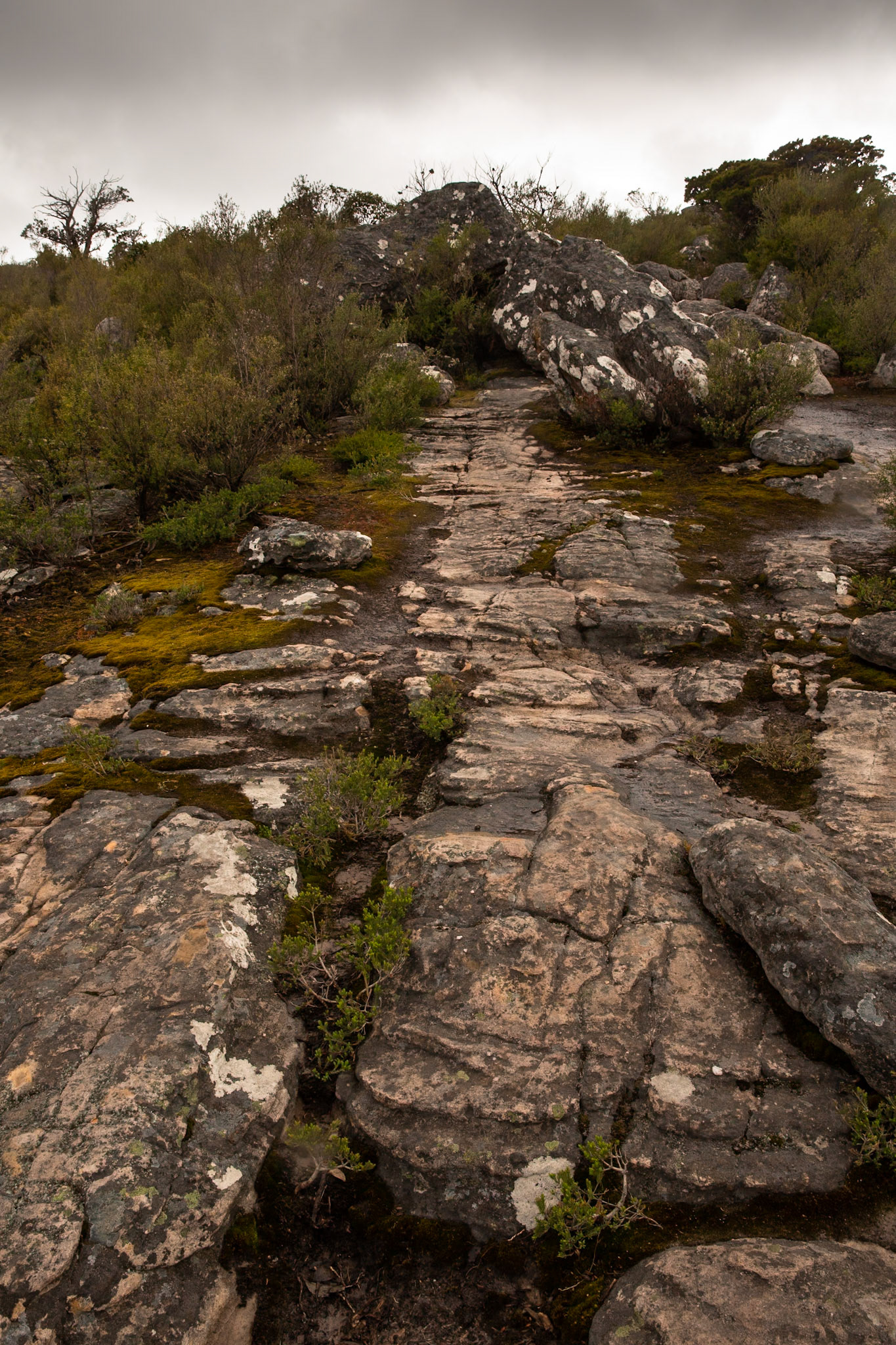 Mt Rosea circuit, Hall's Gap, The Grampians, Victoria