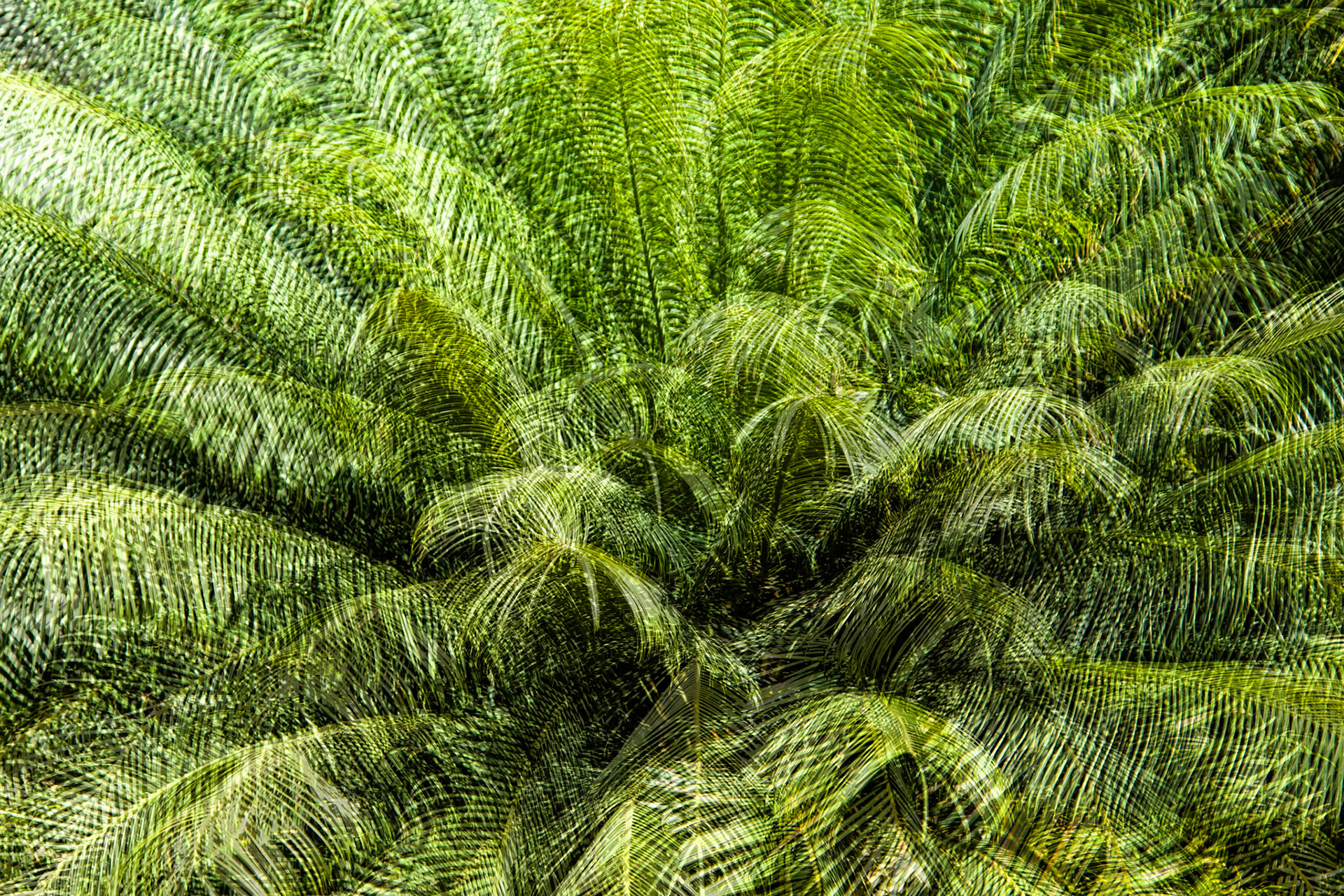 Views from the homestead, El Questro Wilderness Park, The Kimberly, Western Australia