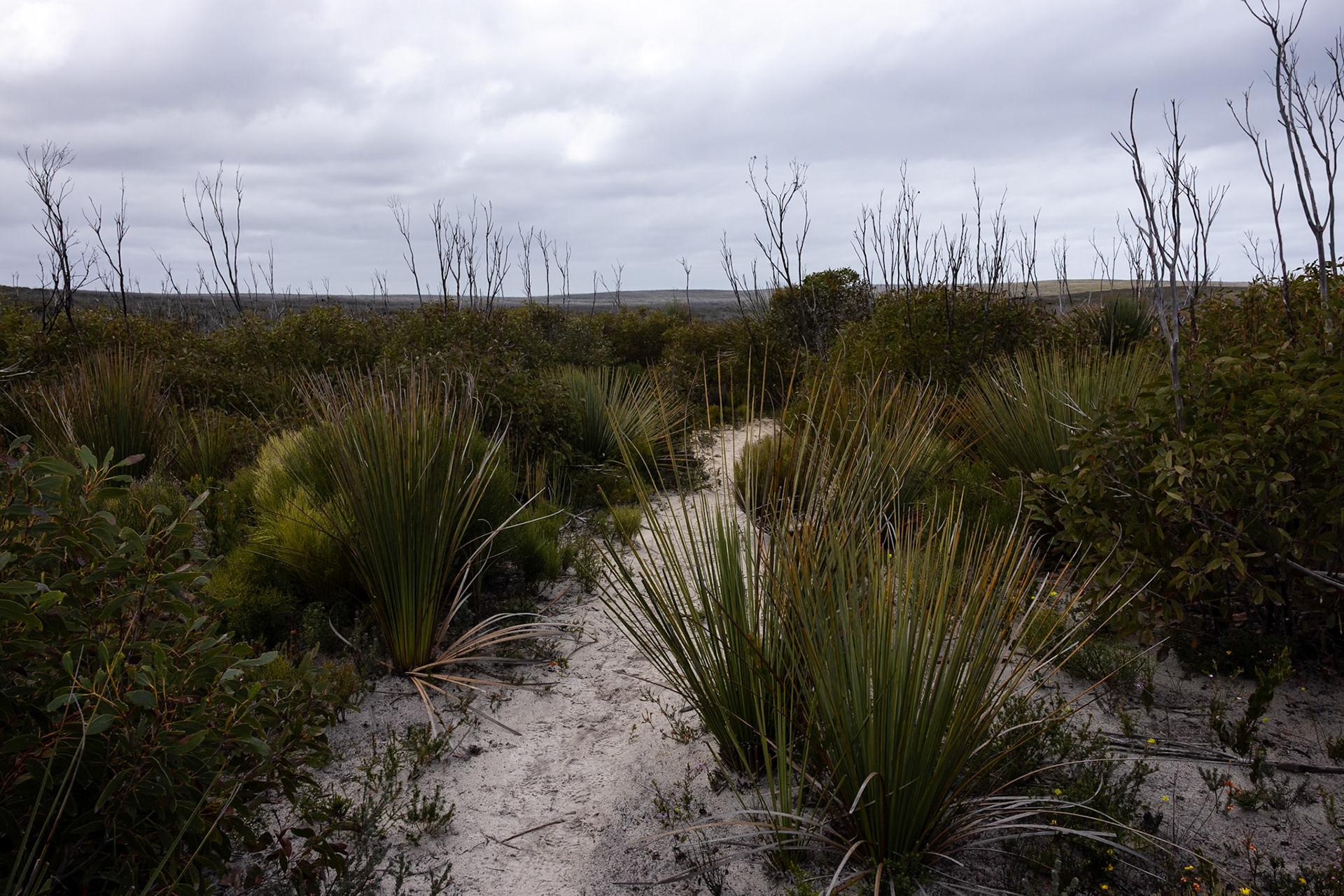 Kangaroo Island, South Australia