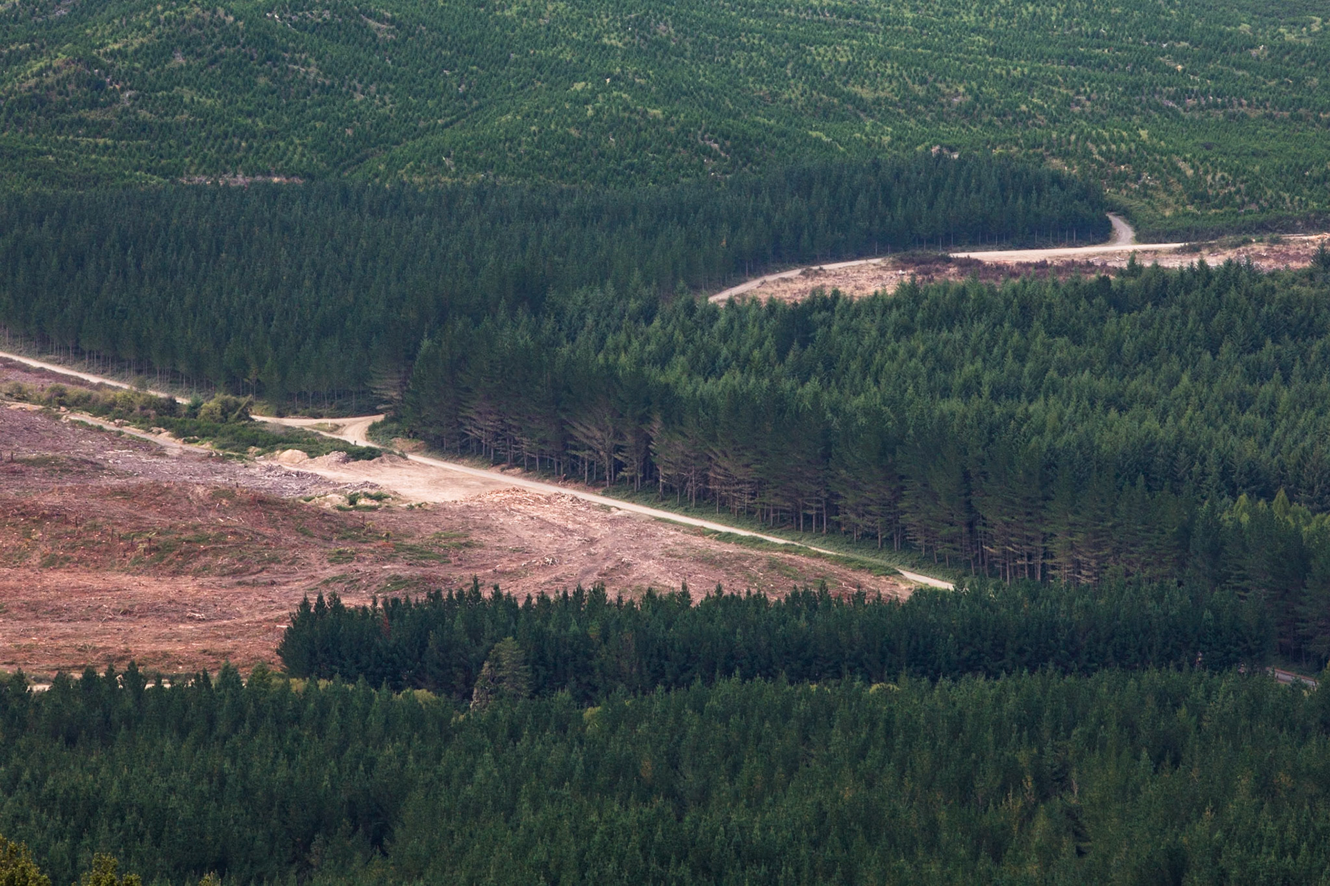 Crater Lake and Rainbow Mountain, Rotorua, New Zealand