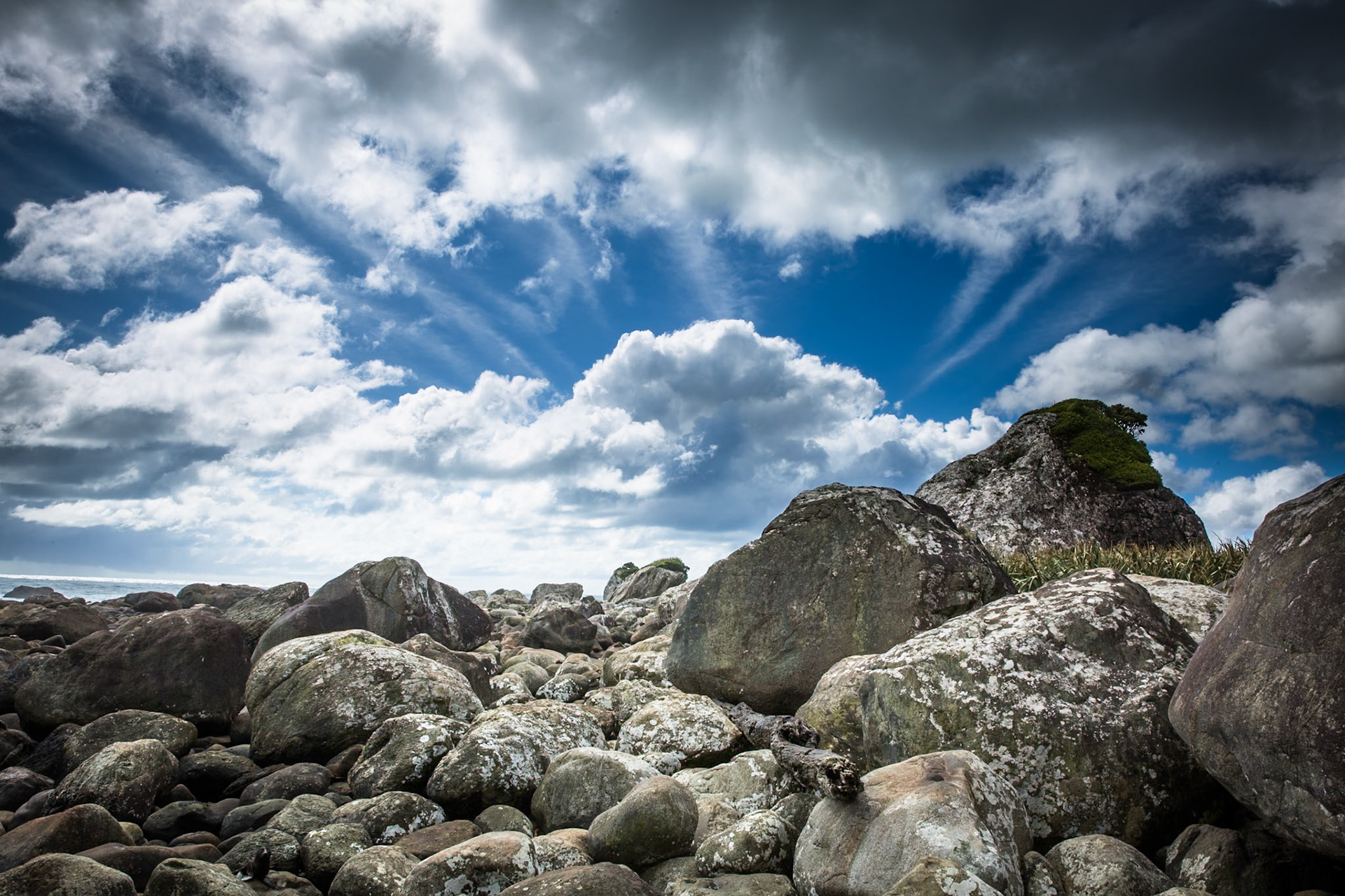 Longreef, Hollyford Track, Pyke Lodge to Martin's Bay, New Zealand