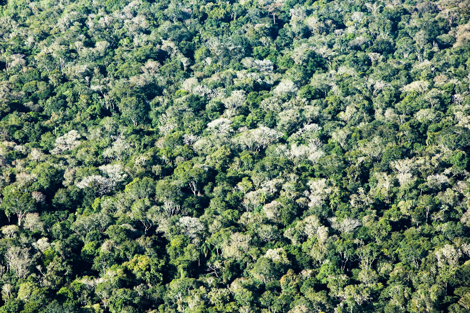 Iguassu Falls, Brazil and Argentina