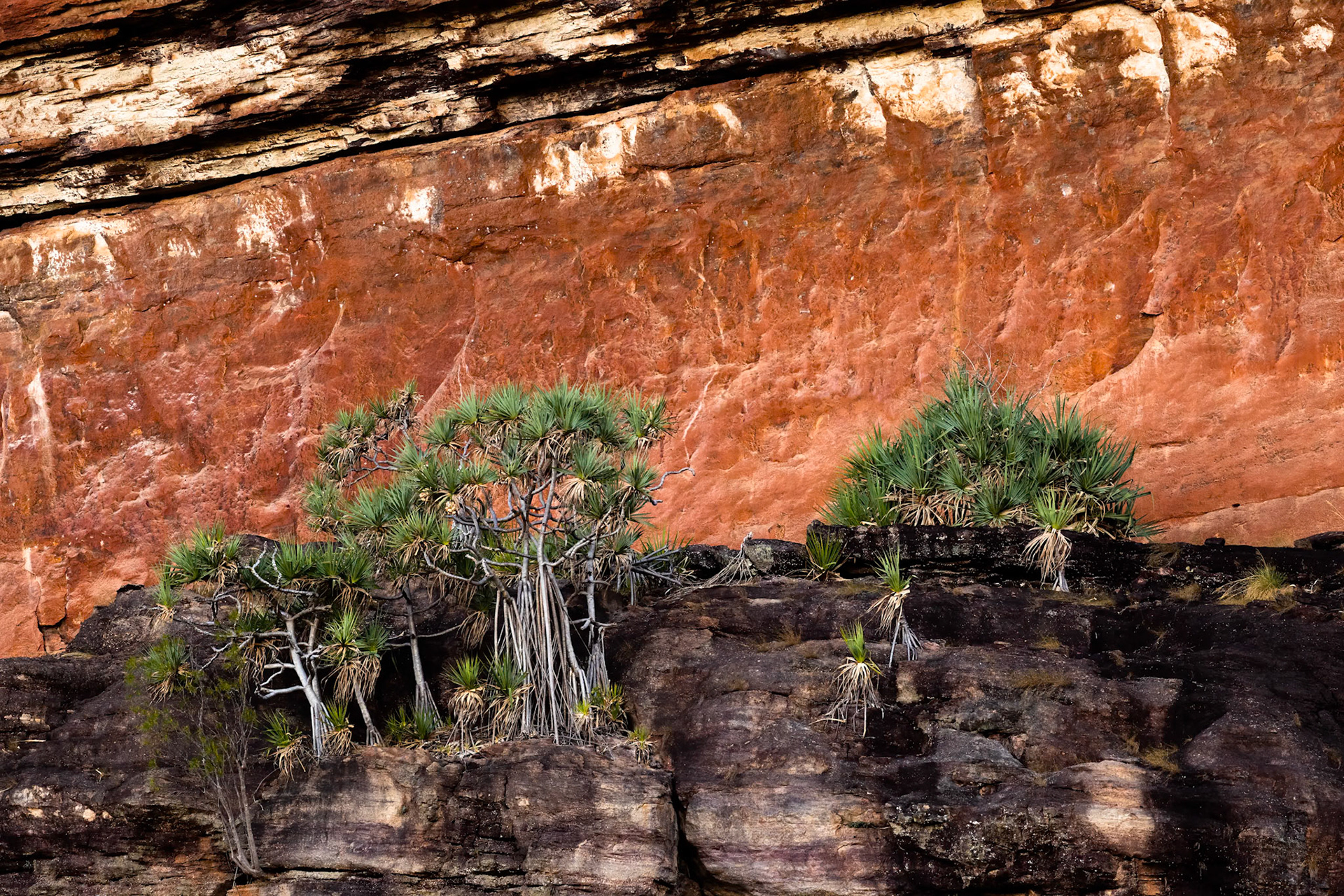 Anbangbang, Kakadu, Northern Territory, Australia