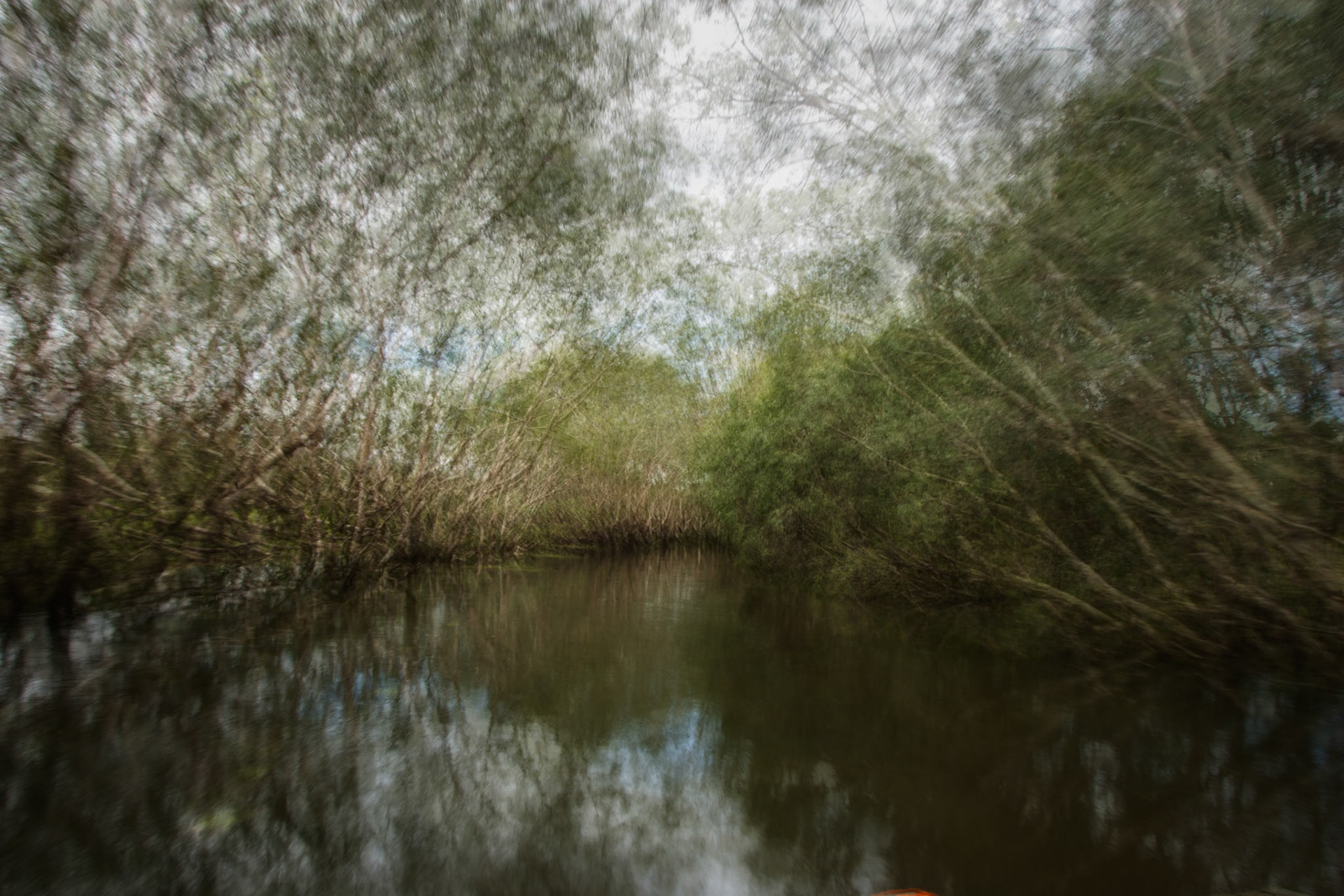 Tranquill water and trees. A multiple exposure and abstract. Mount Borradale, Arnhemland, Northern Territory