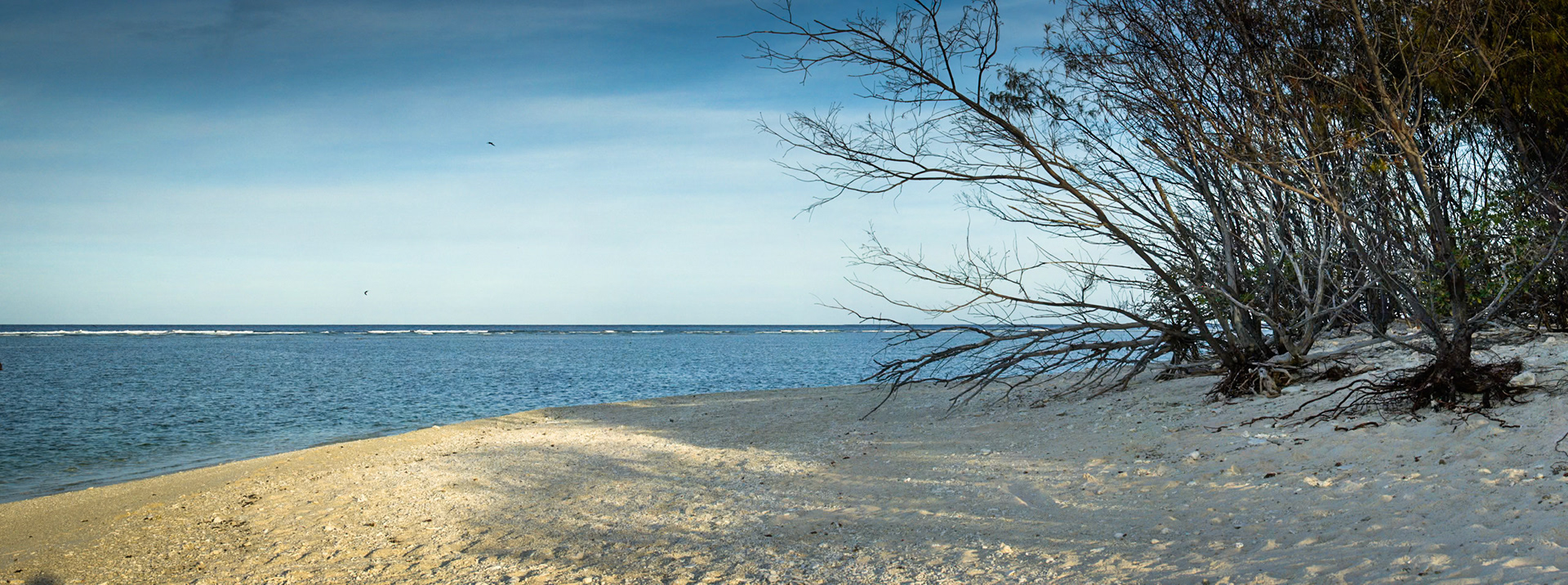 Sunset over coral gardens beach, Lady Elliot Island, Queensland, Australia