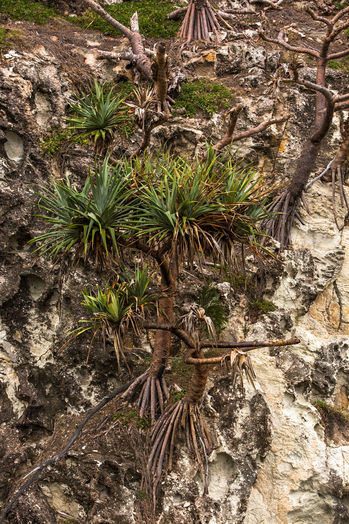 Stradbroke Island, Queensland