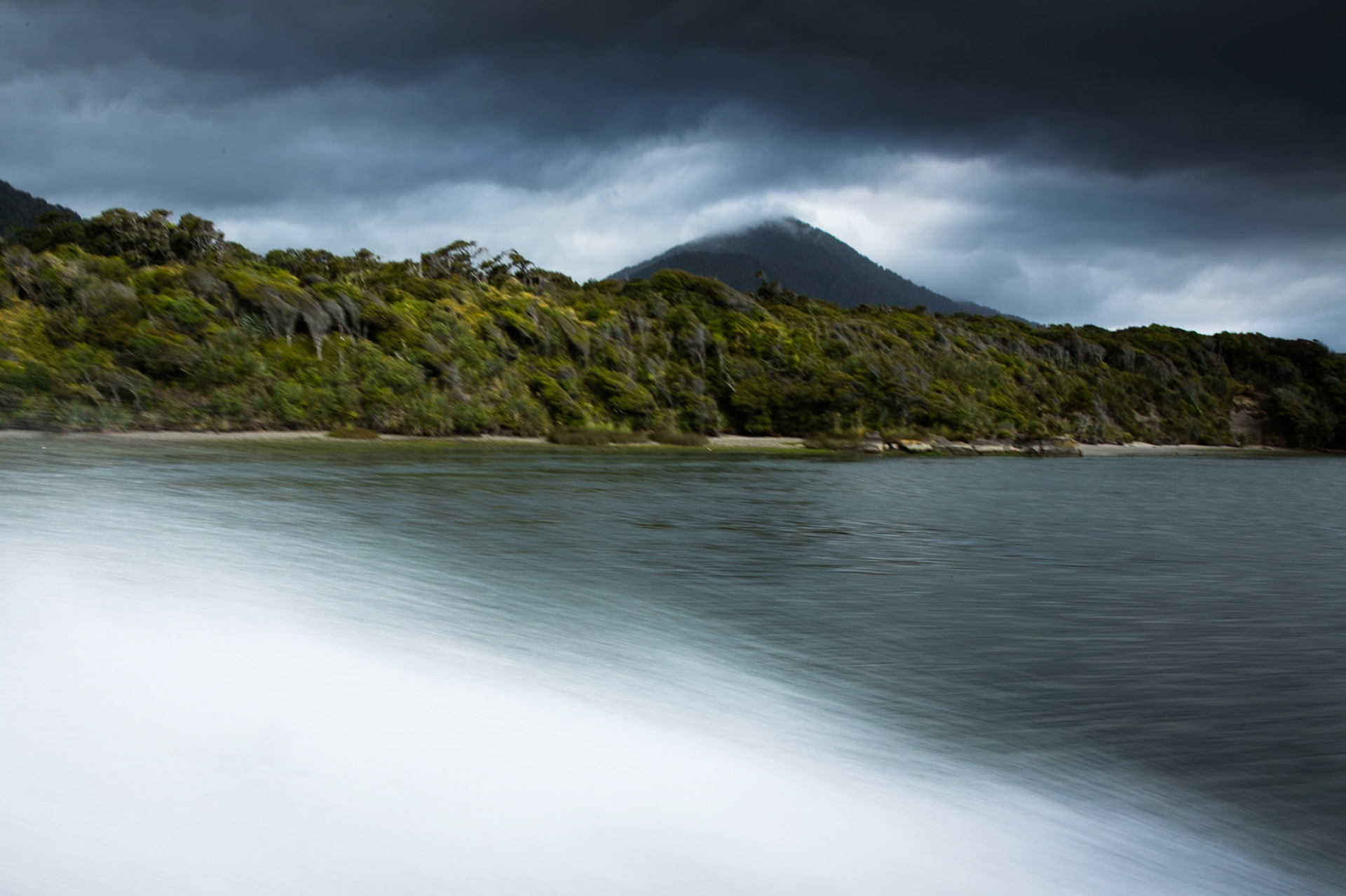 Hollyford Track, Pyke Lodge to Martin's Bay, New Zealand