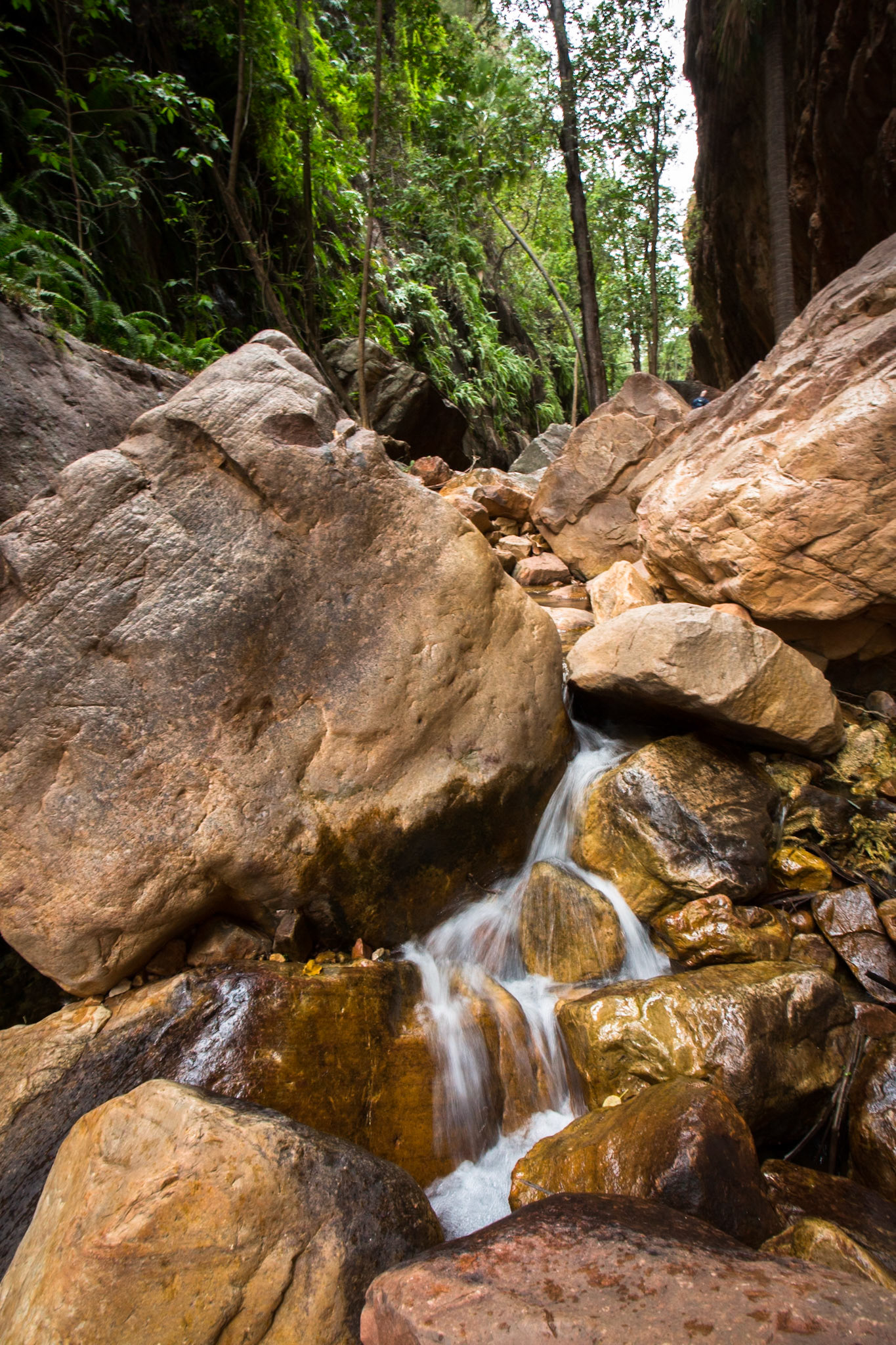 El Questro Gorge, El Questro Wilderness Park, The Kimberly, Western Australia