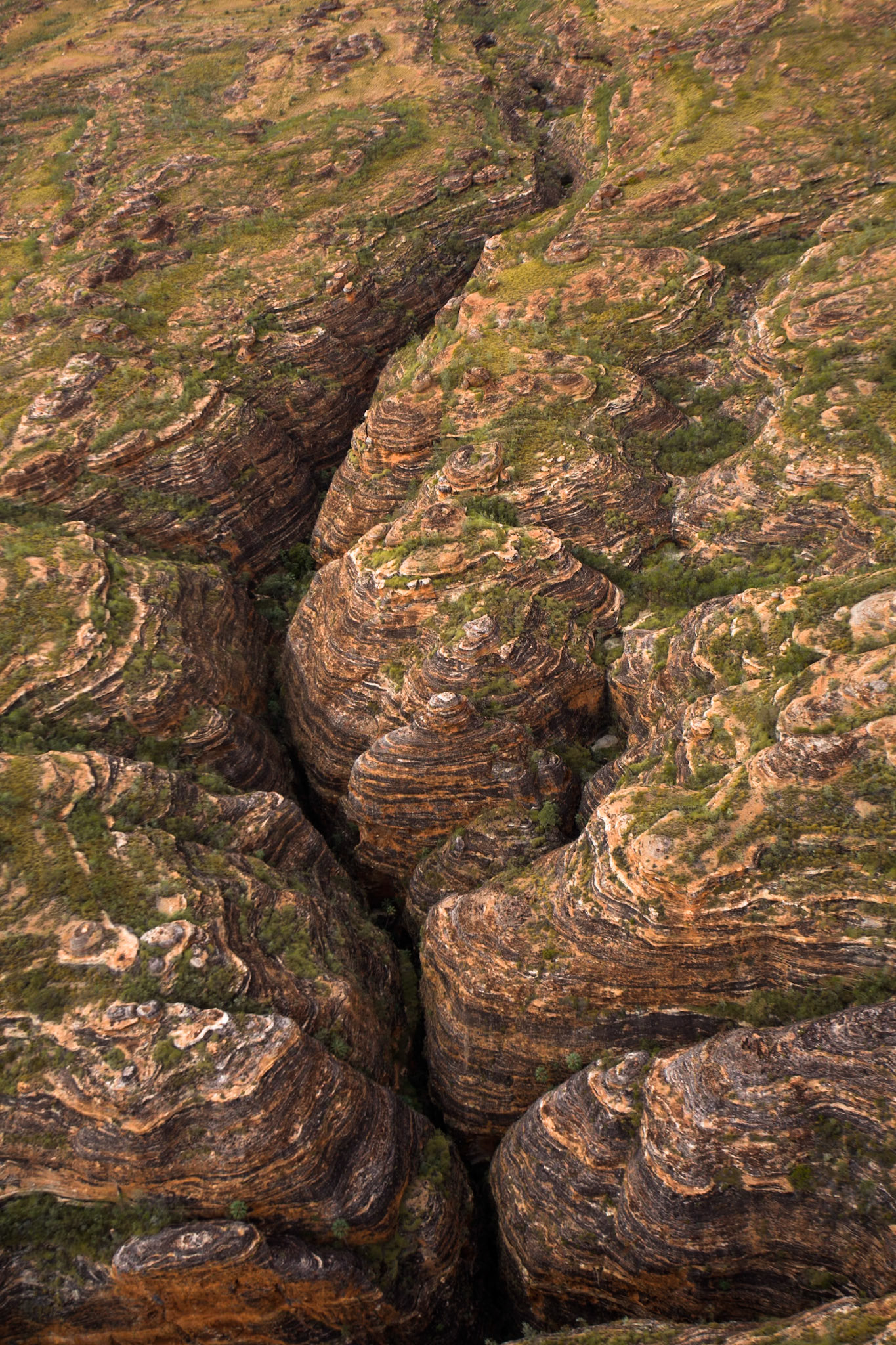 Aerial view, the Bungle Bungles, West Australia