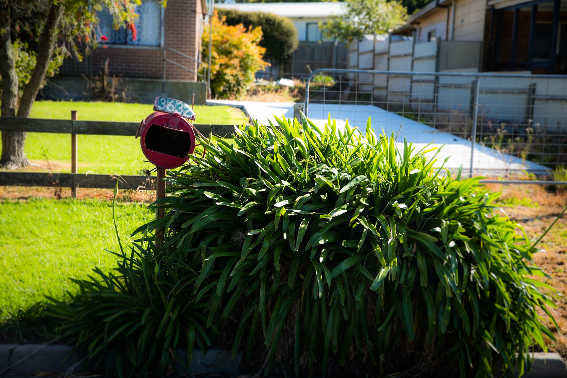 Tuesday am - Darby Saddle via Sparkes Lookout and Lookout Rocks to Tongue Point; and then on to Darby River for lunch.Tuesday pm - Lilly Pilly Gully carpark up to Tidal Overlook and on to Pillar Point then via Squeaky Beach and Picnic Beach to Picnic Beach carpark.