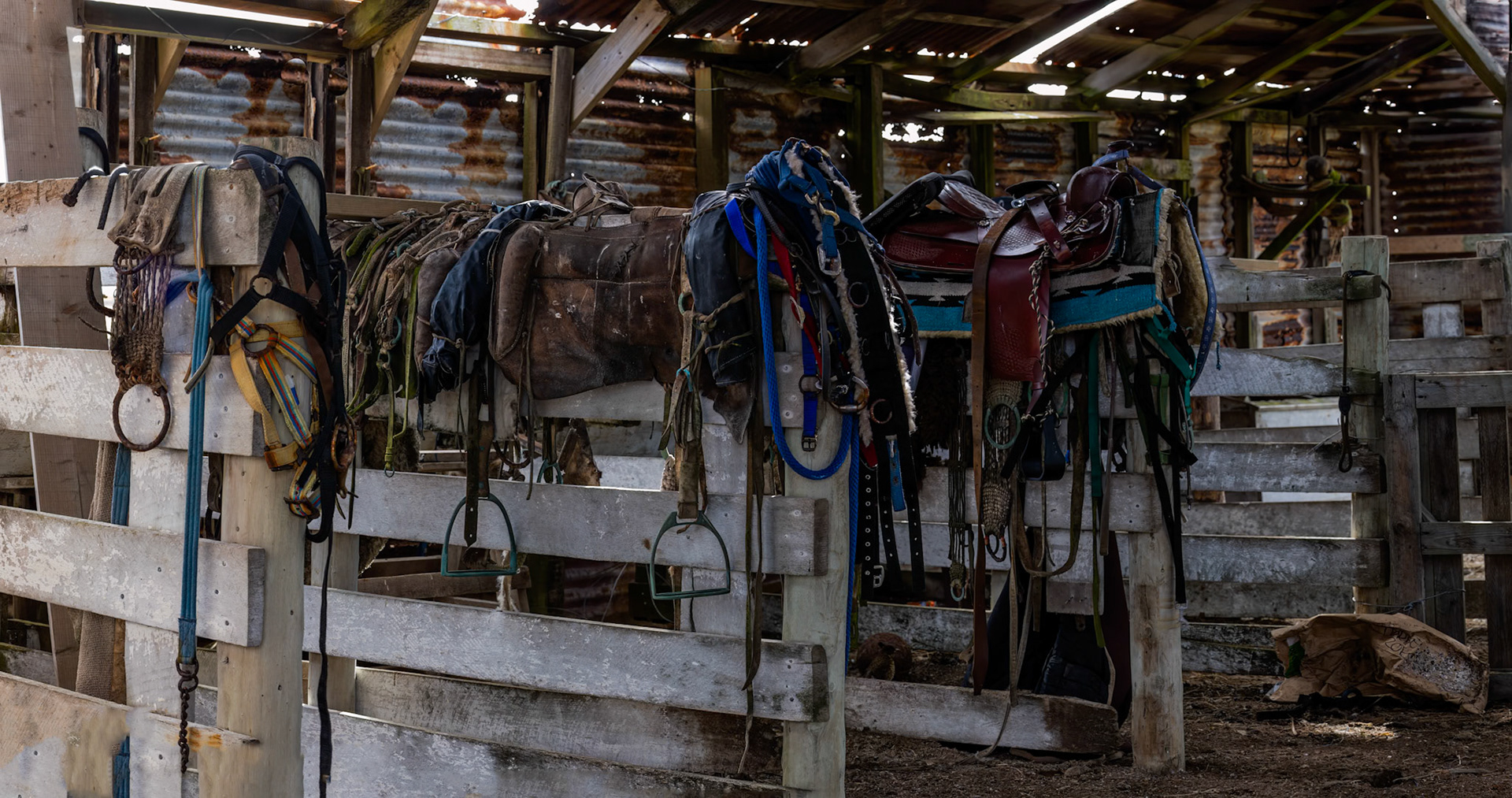 Landscape, Pebble Island, Falkland Islands