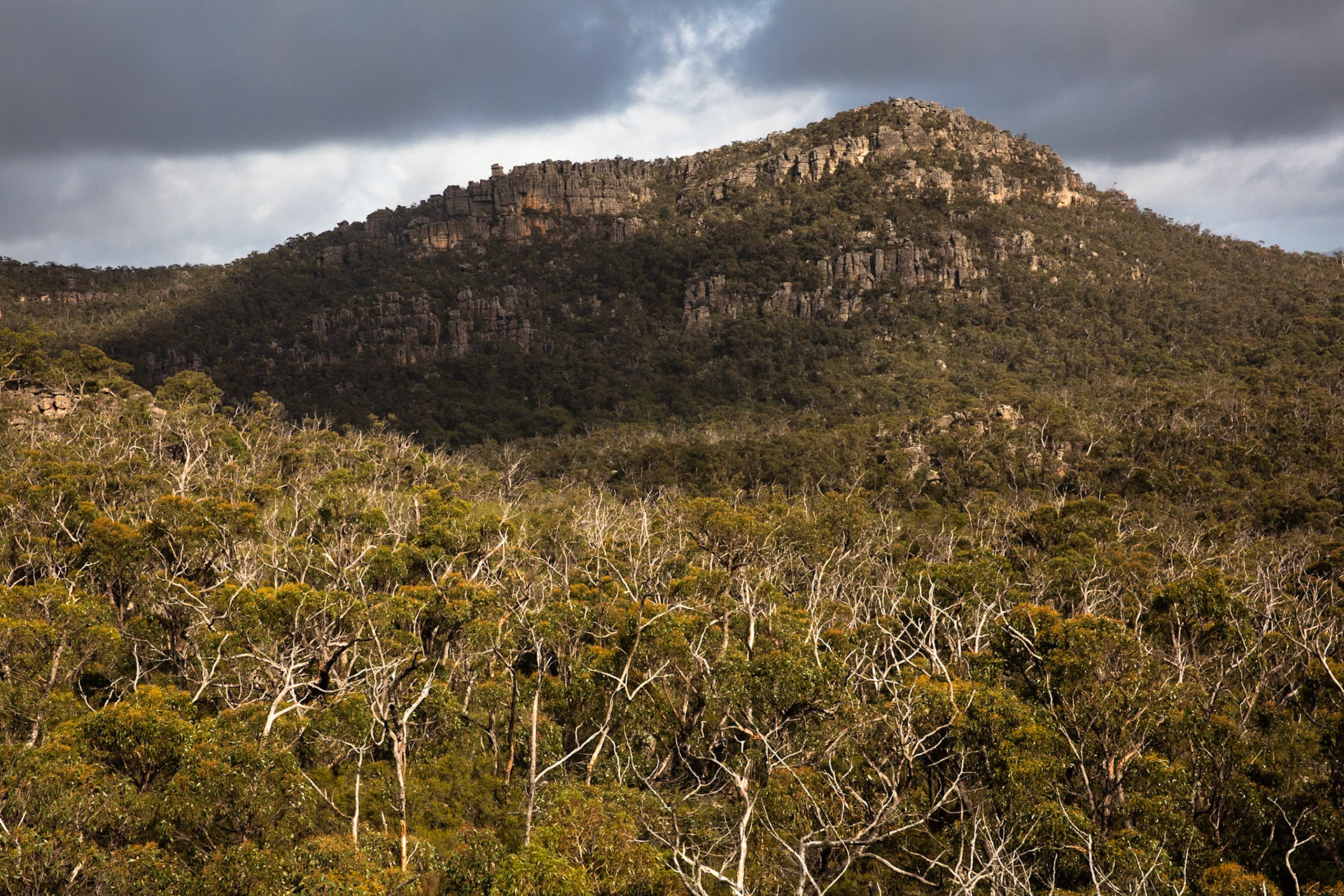 Mt Rosea circuit, Hall's Gap, The Grampians, Victoria