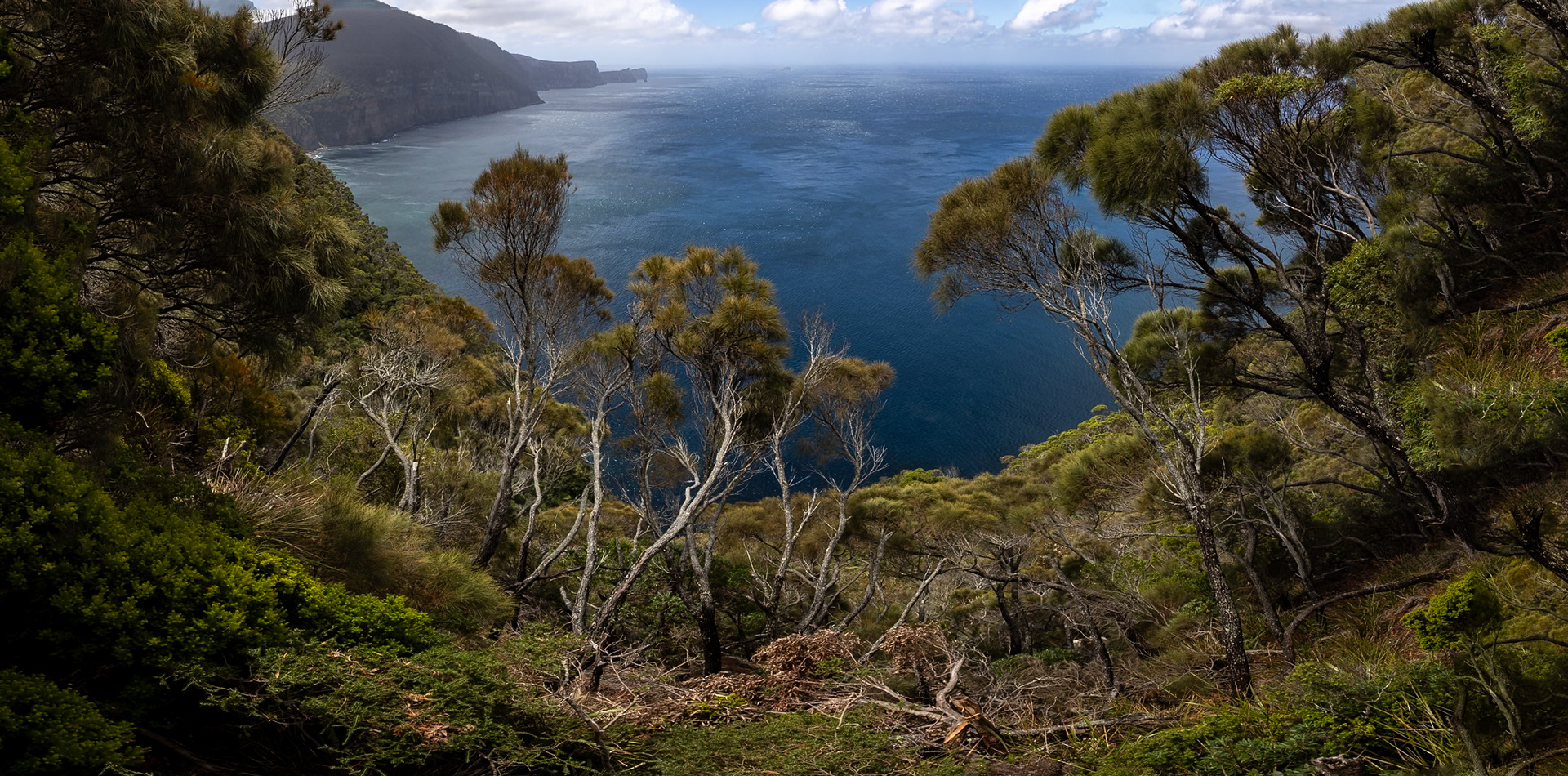 Three Capes Track, Crescent Lodge to Cape Pillar Lodge, Tasmania