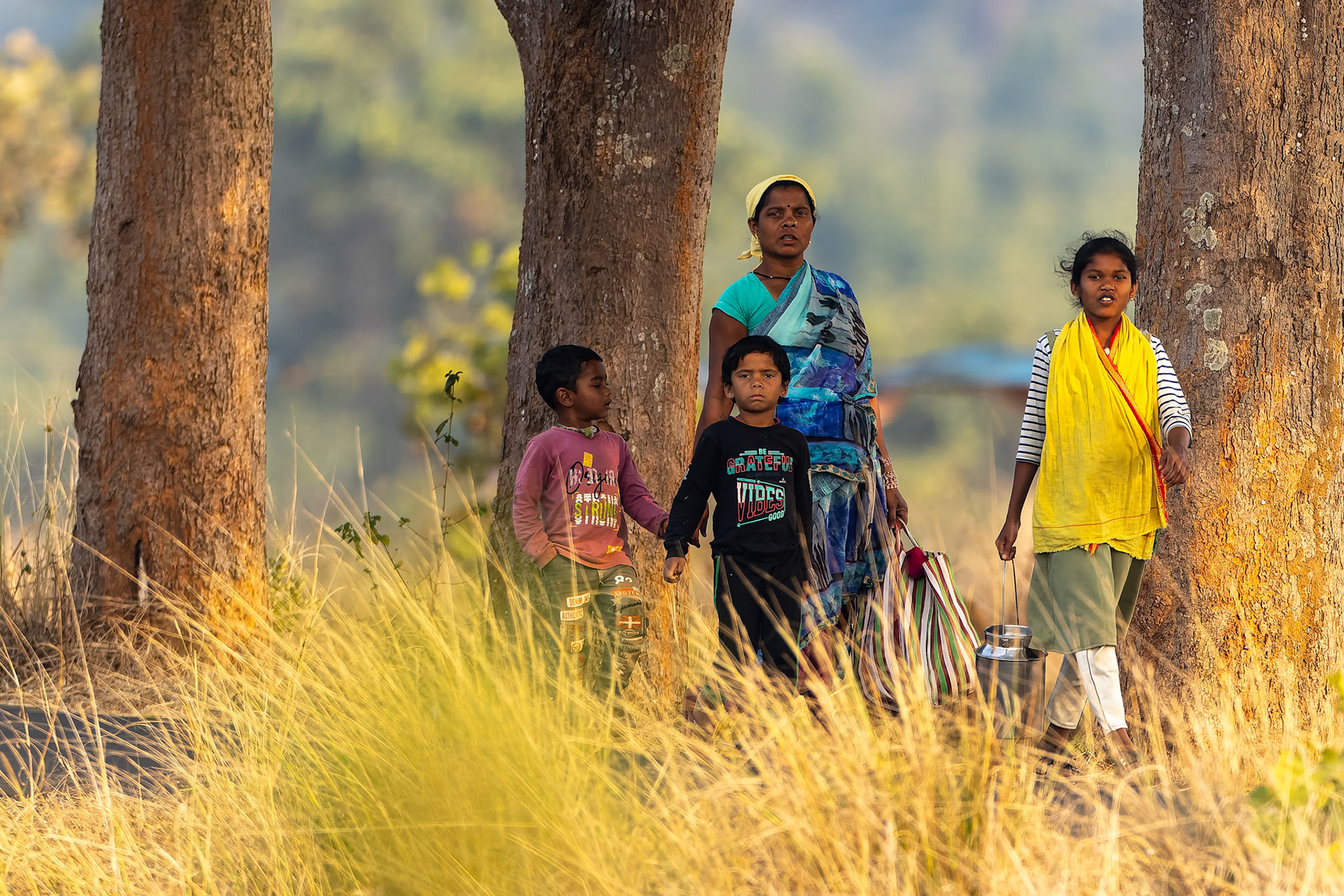 The Bagh, Khana, India