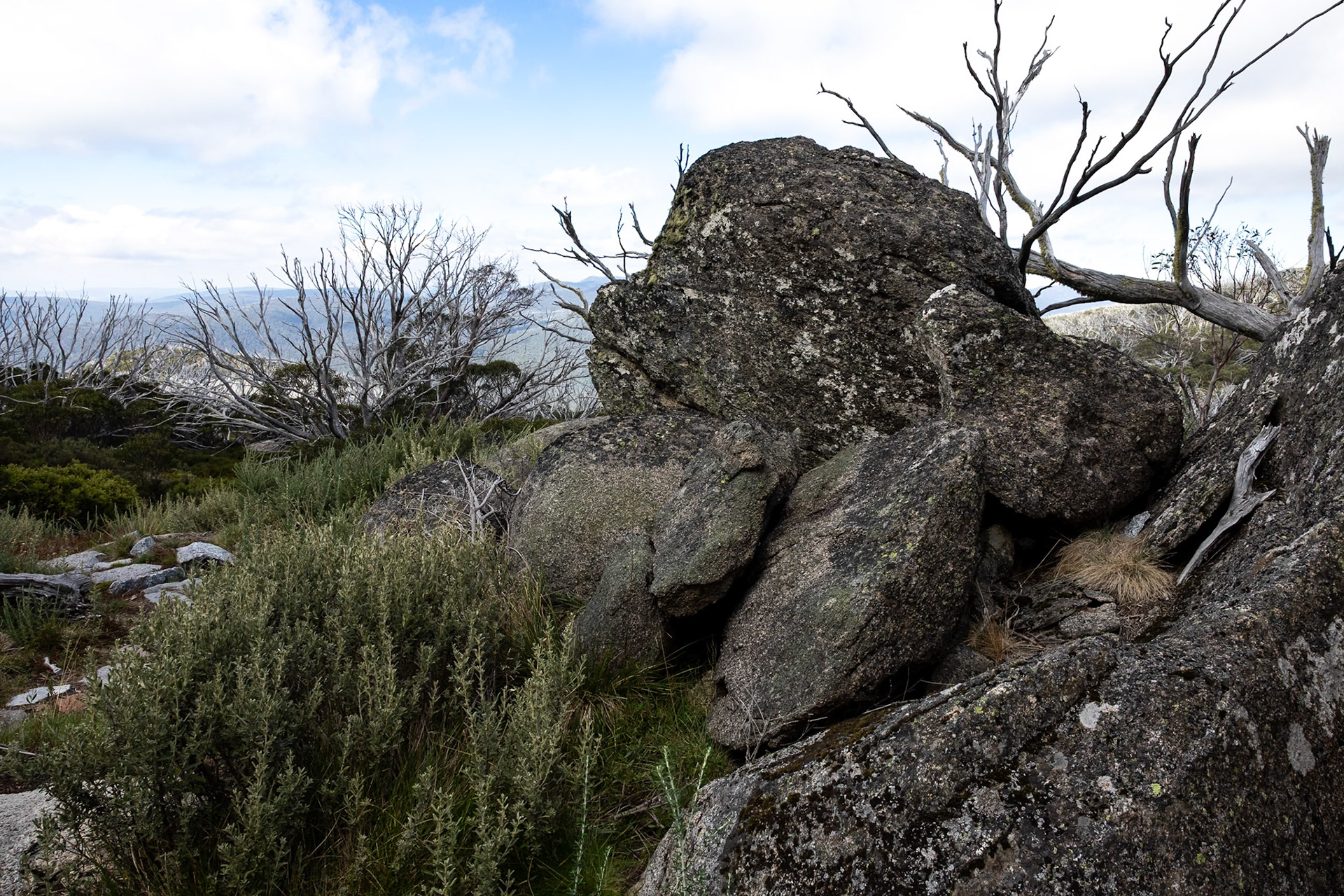 Perisher Valley to Bullock's Flat, Snowies Hiking Trail, Snowy Mountains, New South Wales, Australia