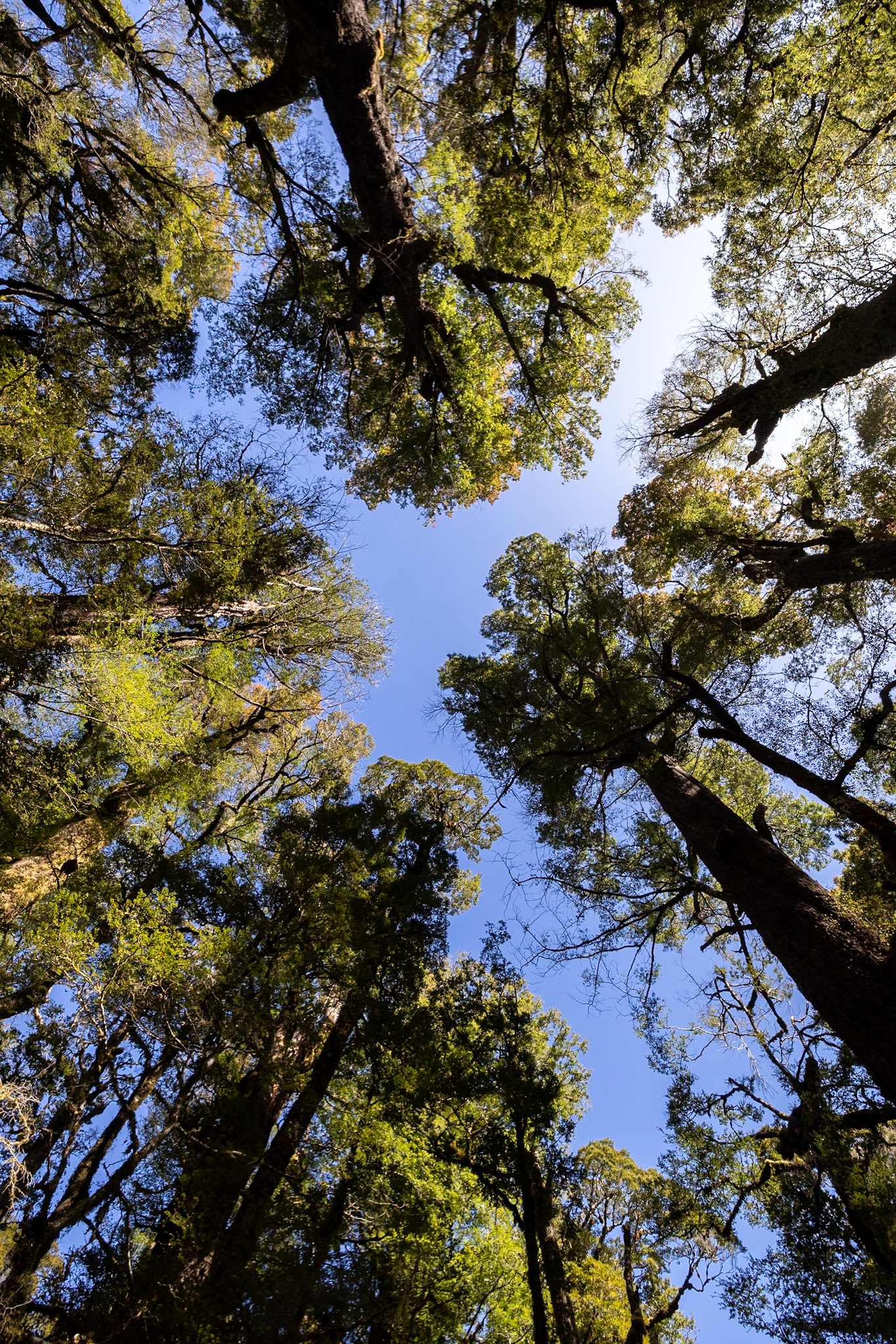 Te Anau, New Zealand